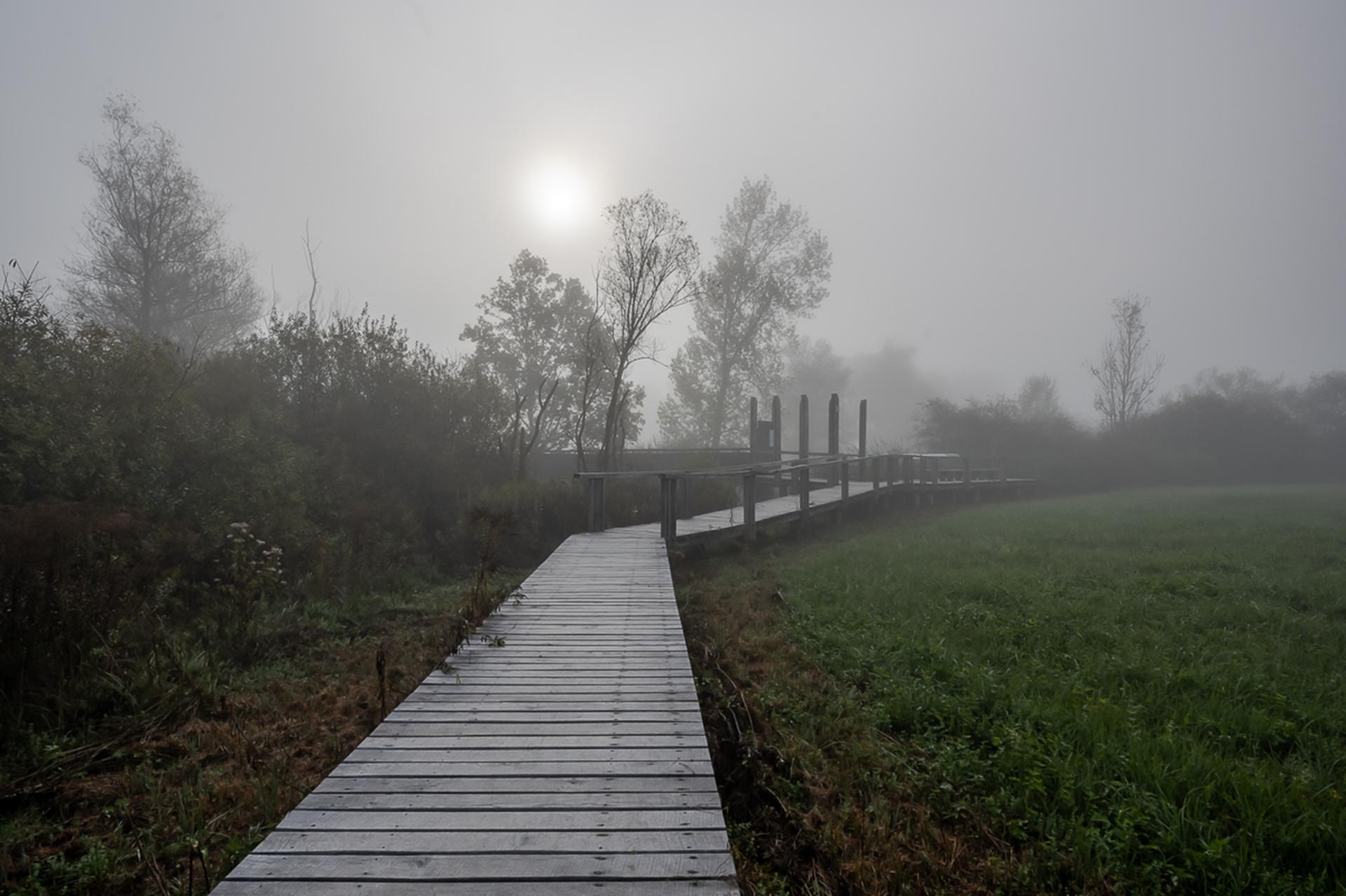 Interpretation Center of Biodiversity and Pile Dwellings in the Ljubljana Marsh Nature Park - image 16