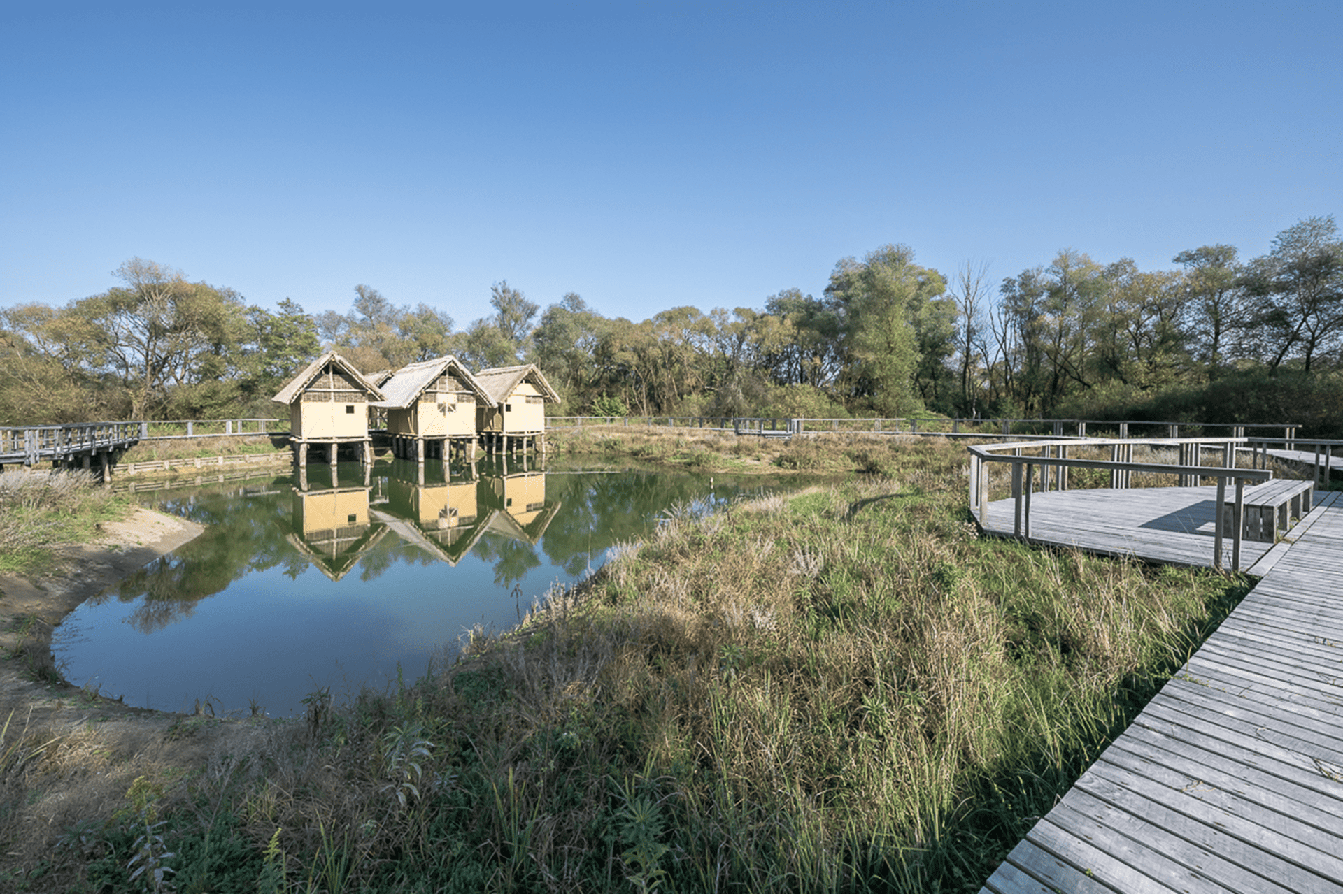 Interpretation Center of Biodiversity and Pile Dwellings in the Ljubljana Marsh Nature Park - image 25