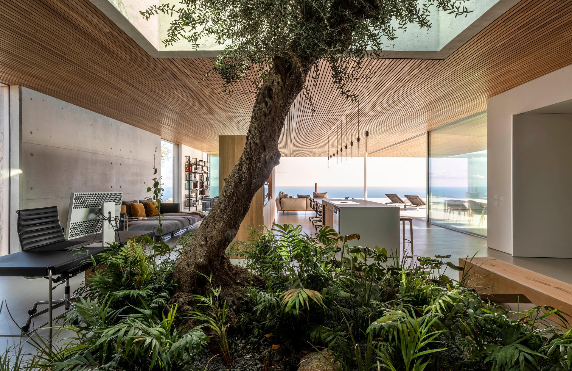 Barcelona House - image 4