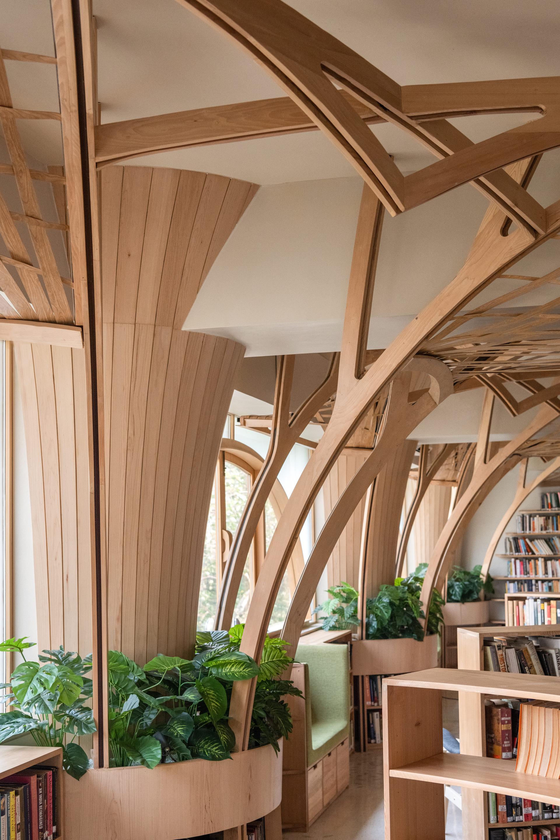 The Forest of Knowledge - image 12