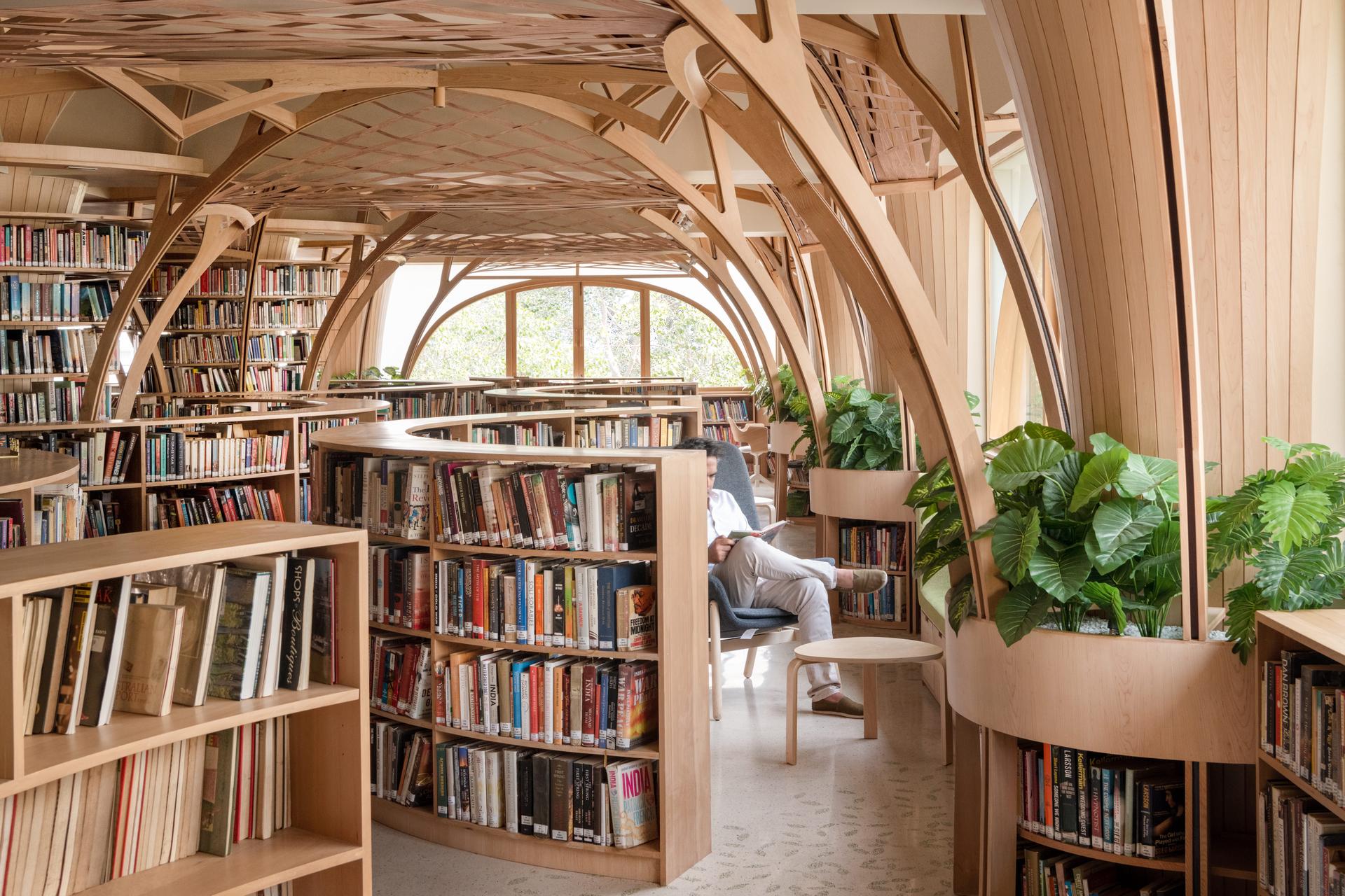 The Forest of Knowledge