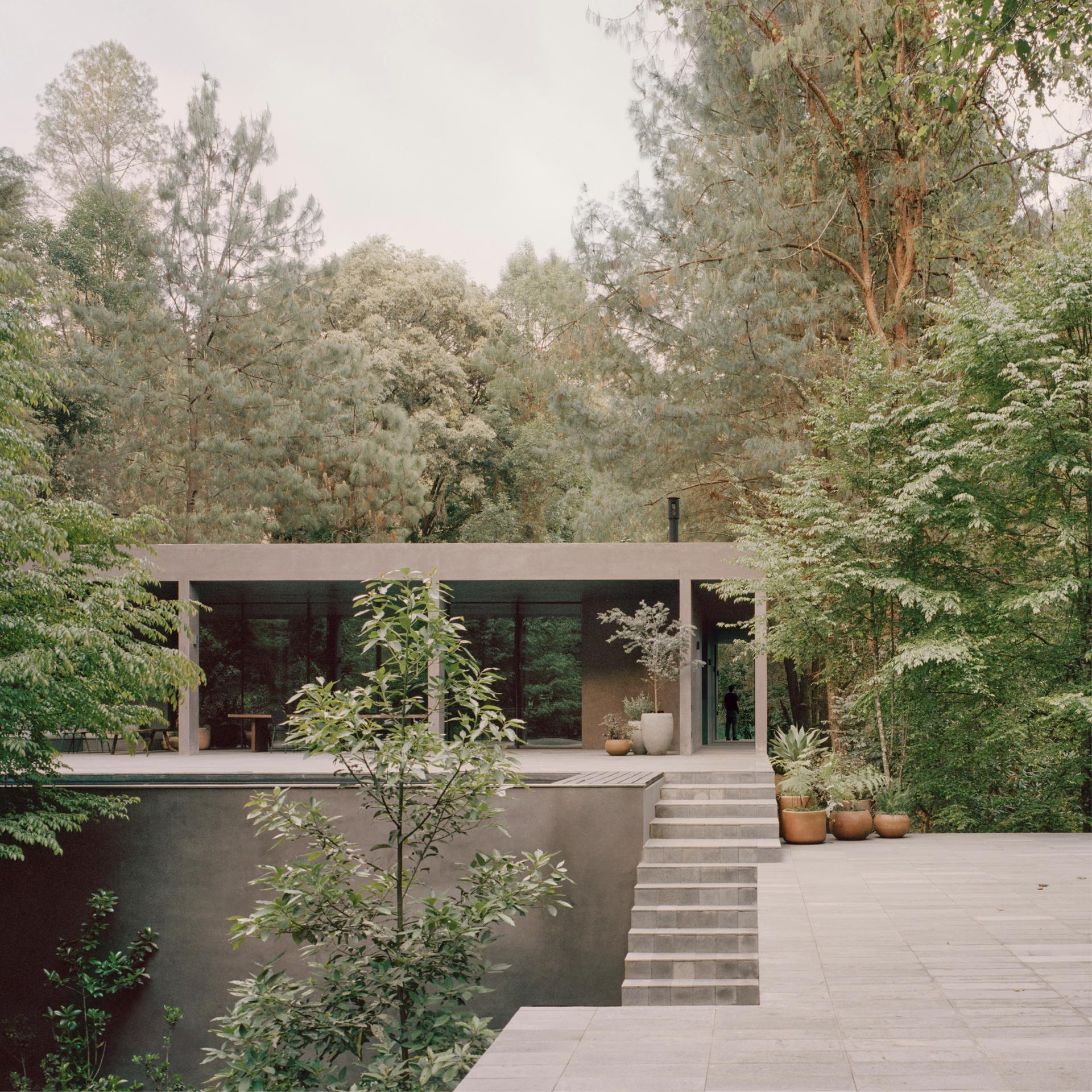 Copas - image 4