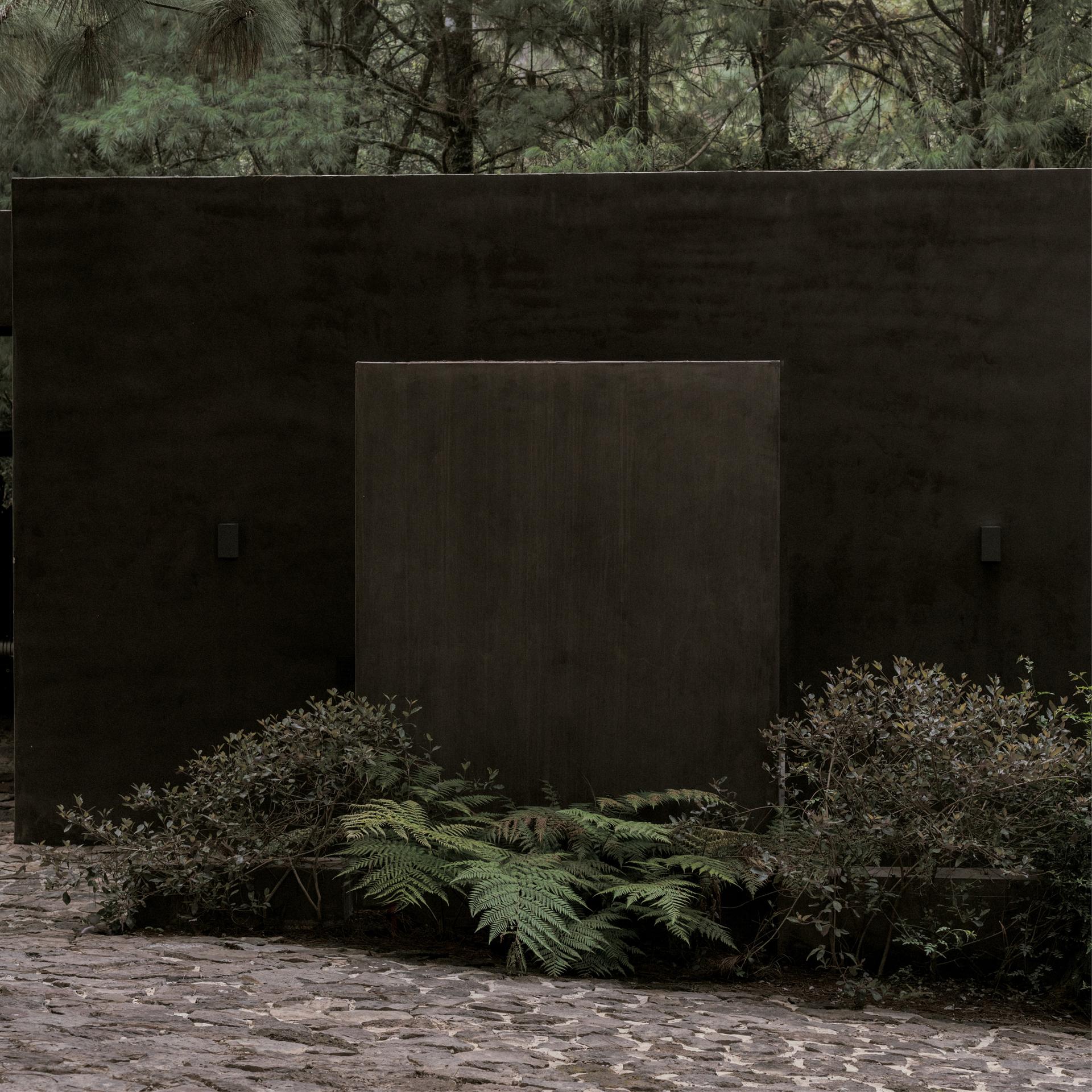 Copas - image 5