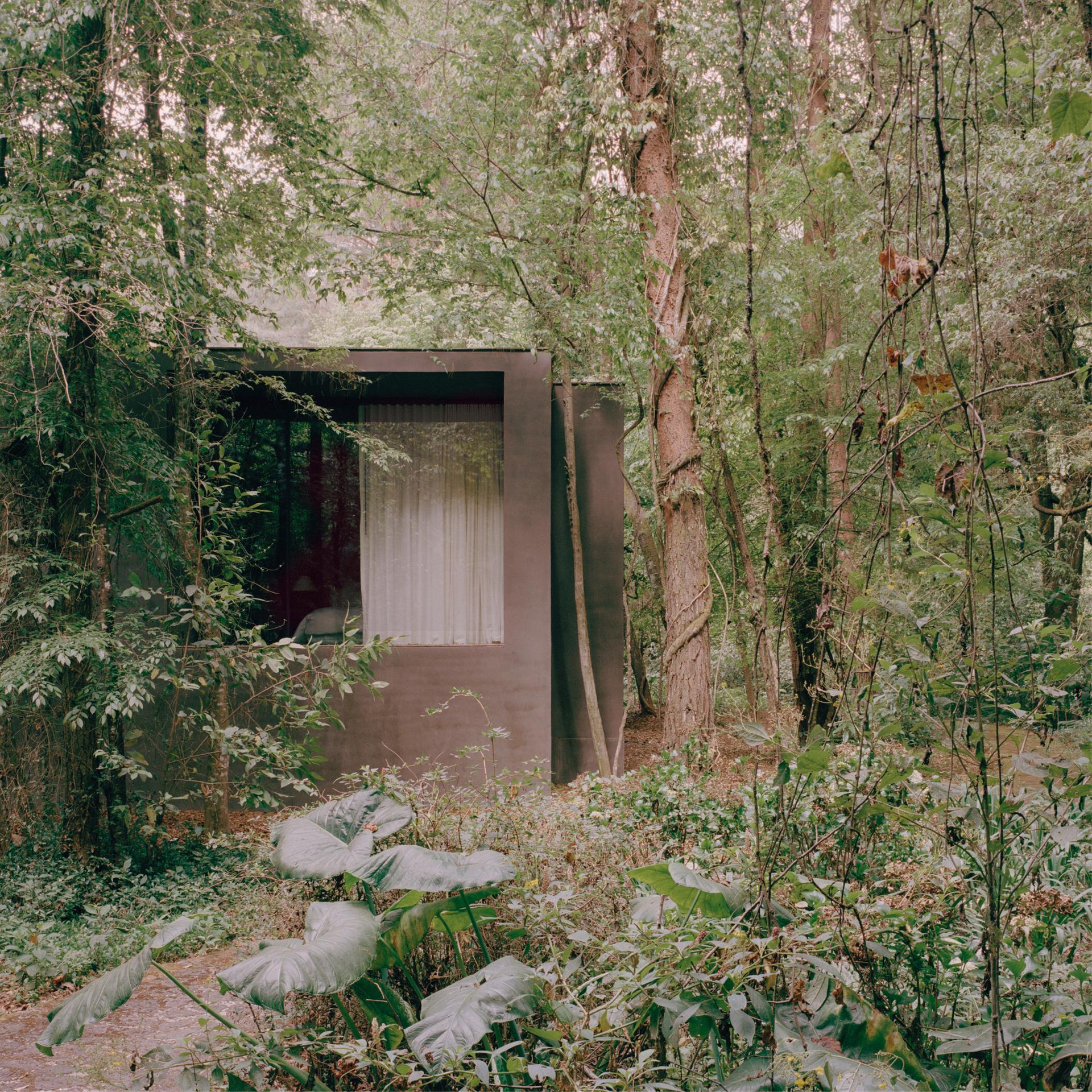 Copas - image 6