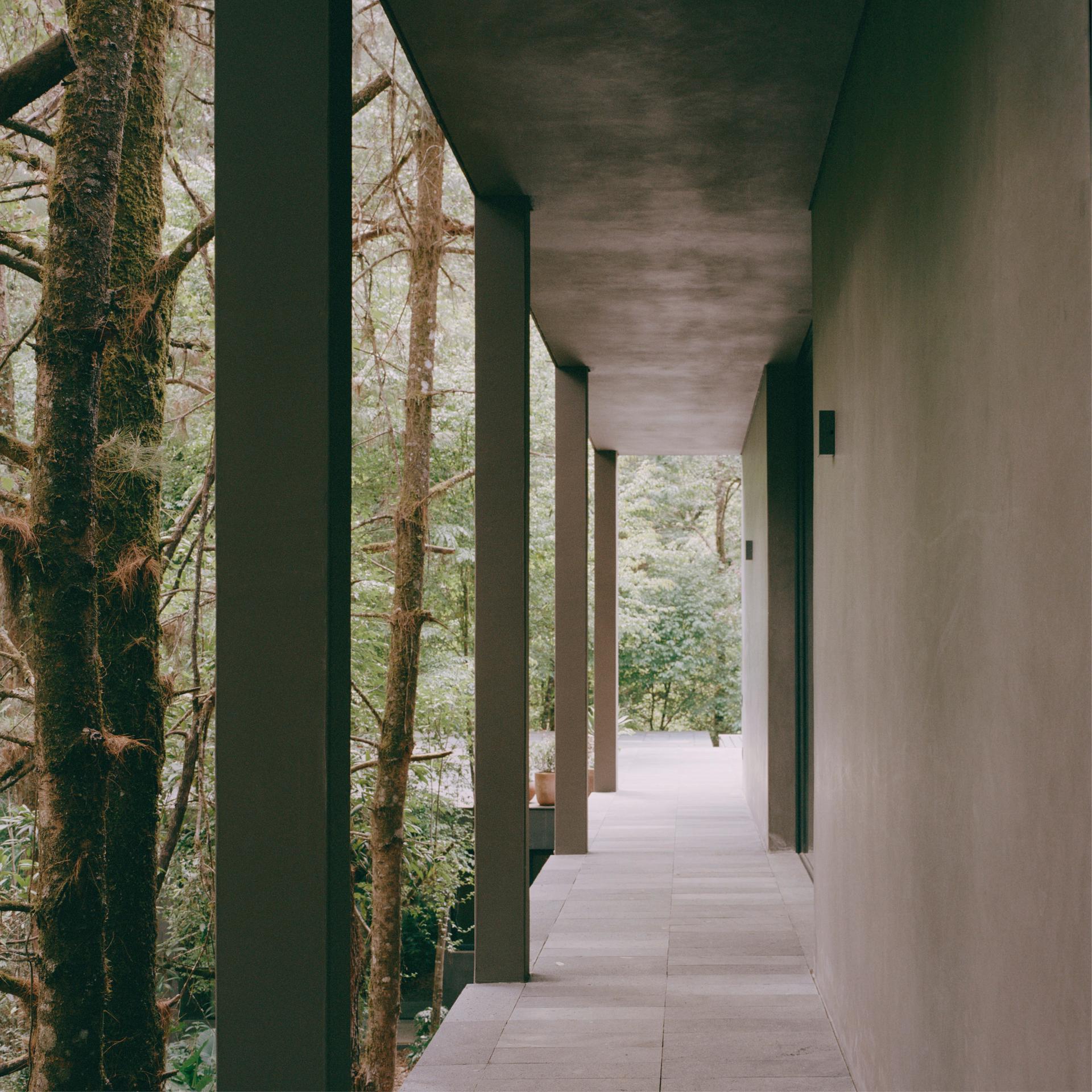 Copas - image 10