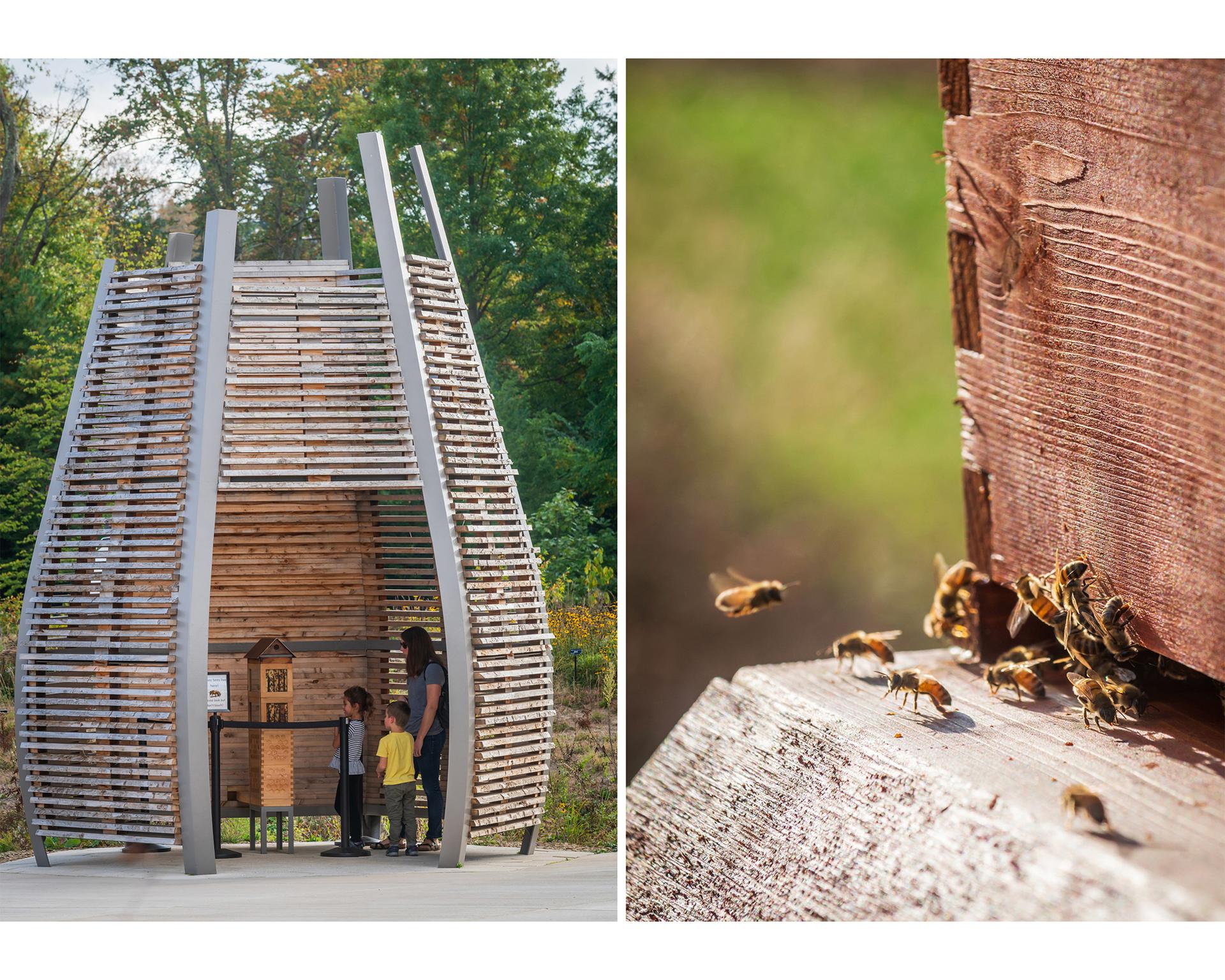 Where the Pollinators Are - image 12