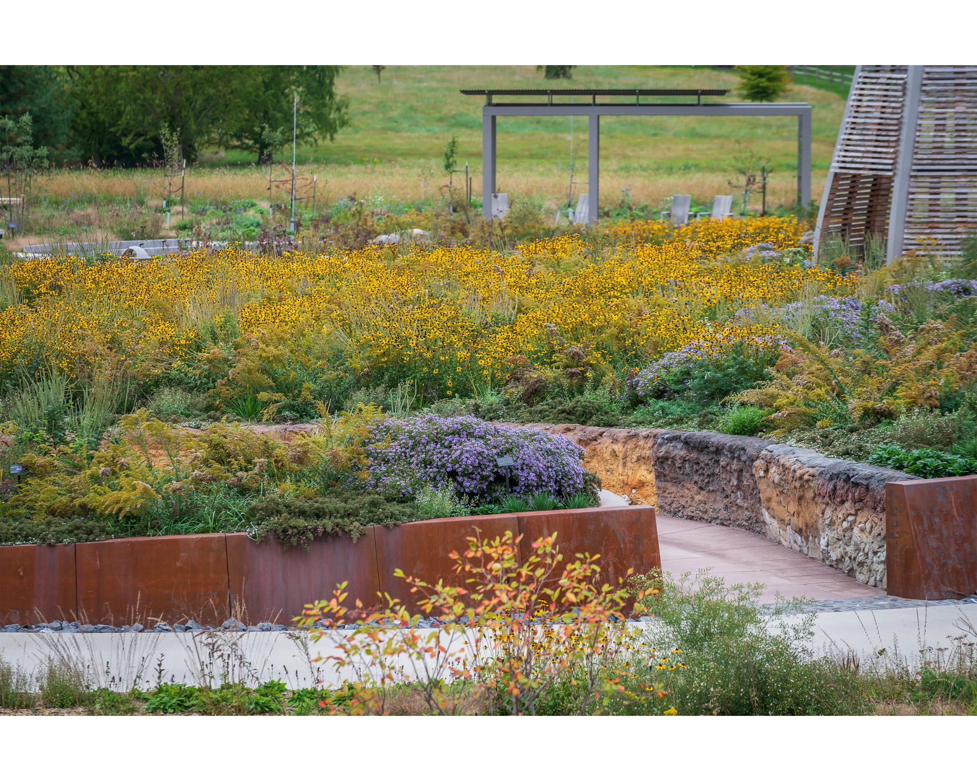 Where the Pollinators Are - image 11