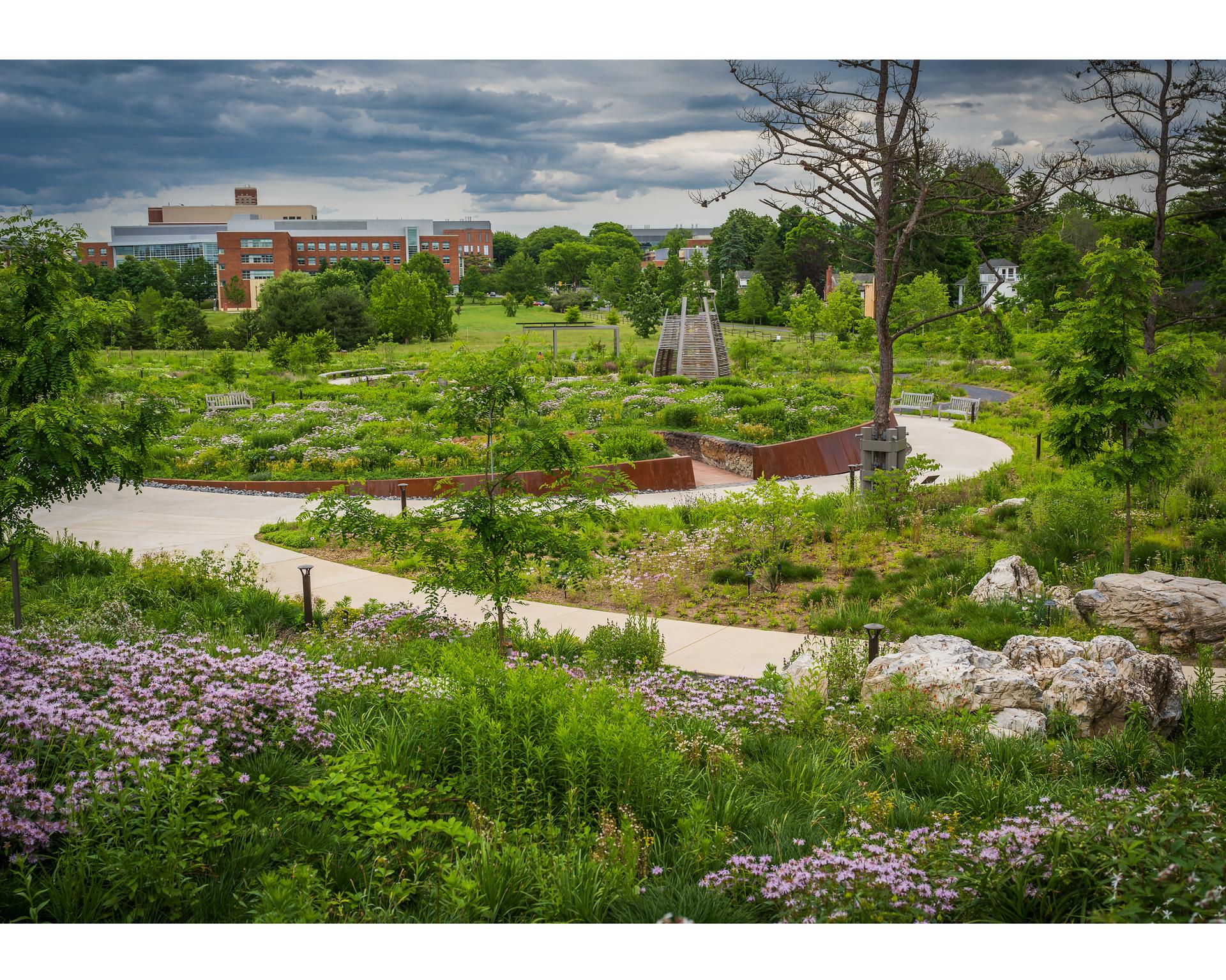 Where the Pollinators Are - image 10