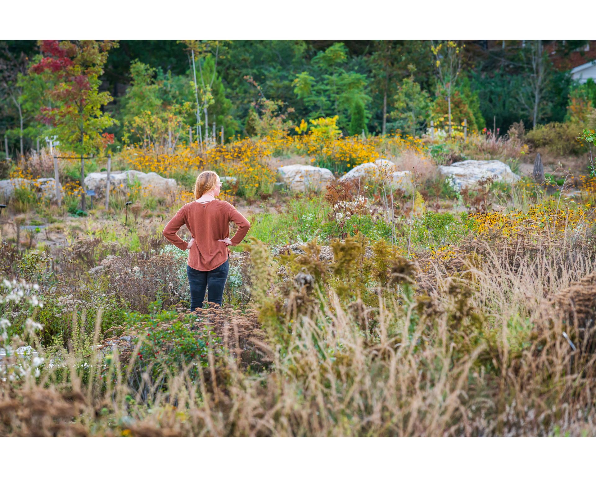 Where the Pollinators Are - image 7