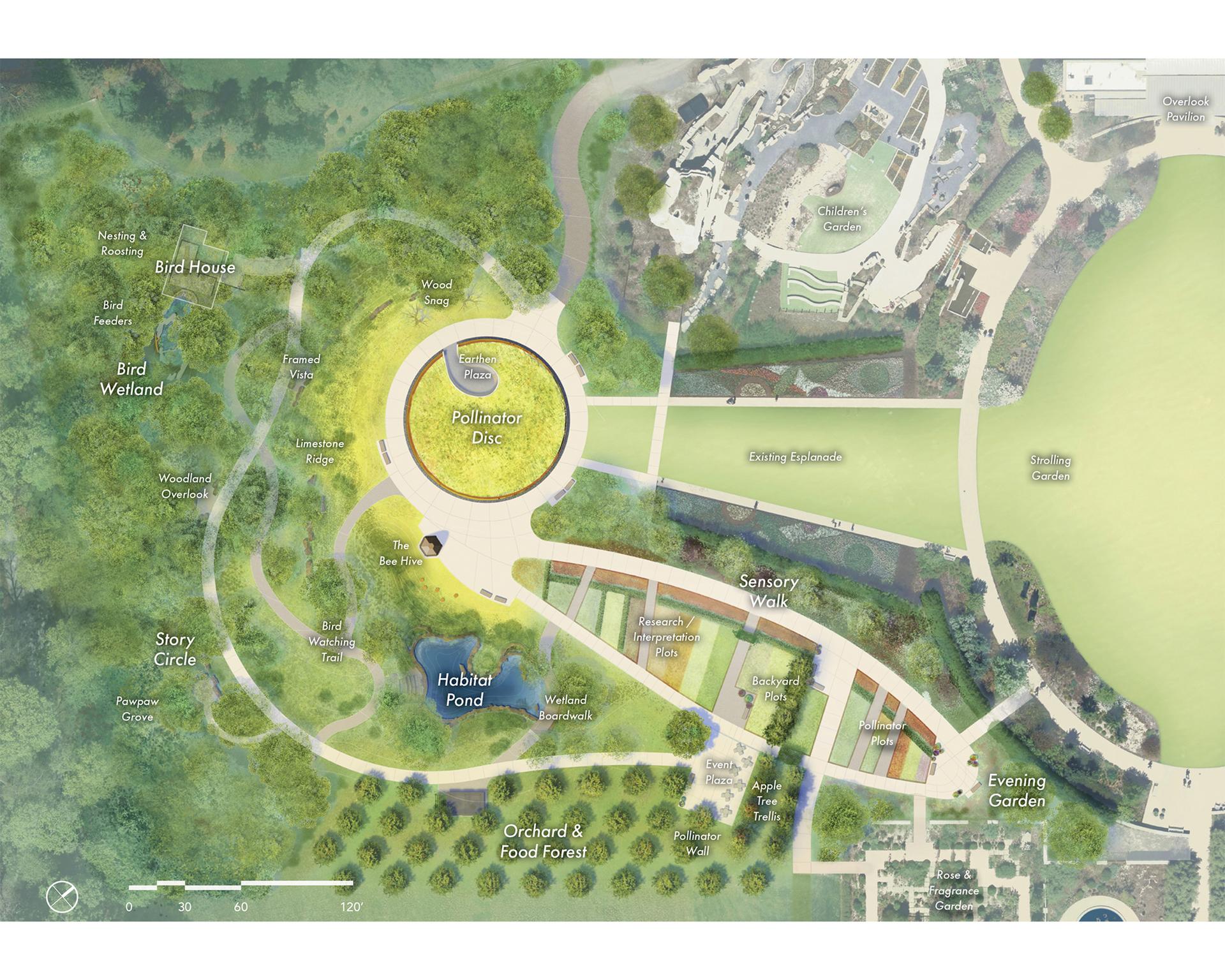 Where the Pollinators Are - image 2