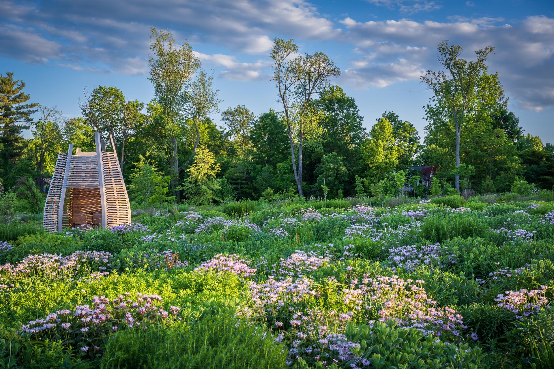Where the Pollinators Are