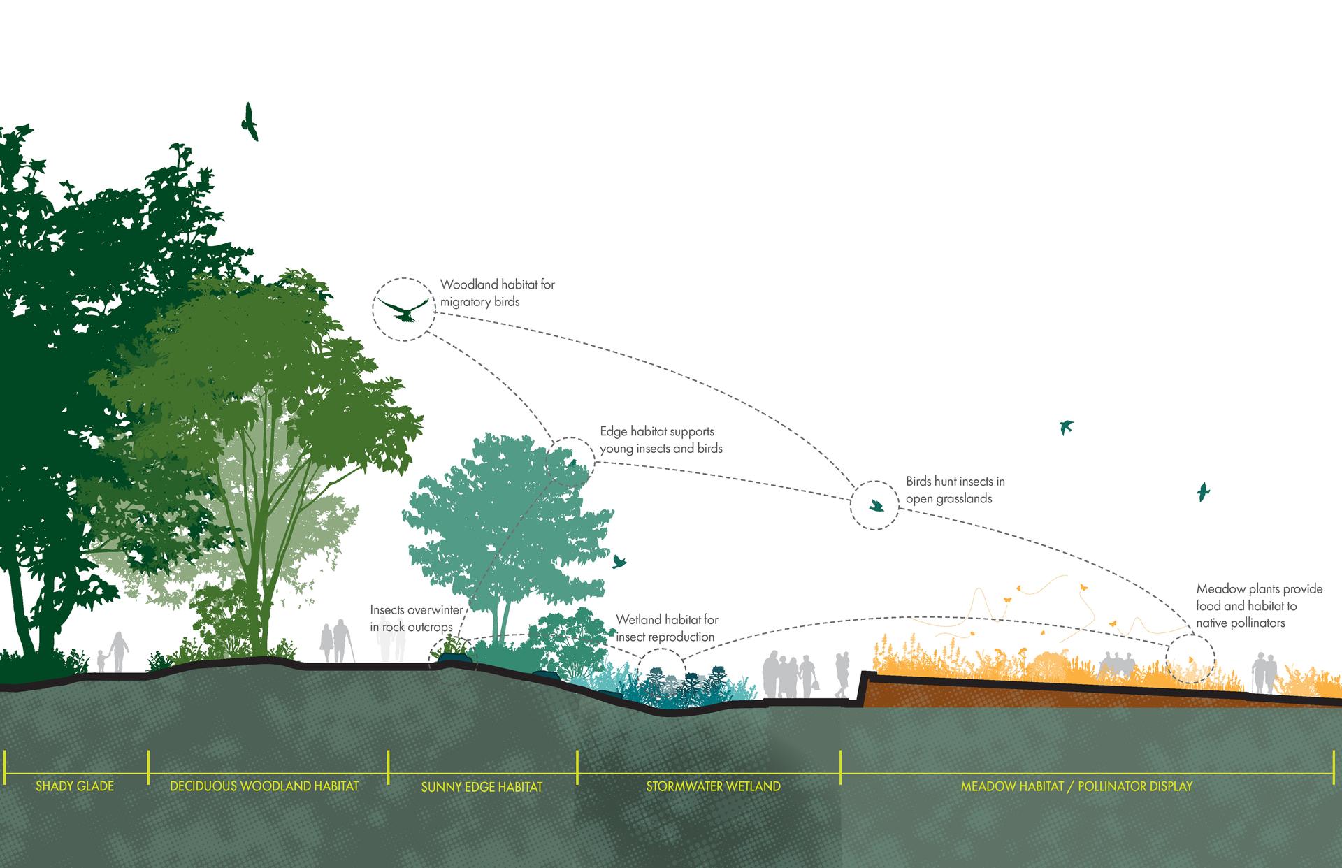 Where the Pollinators Are - image 4