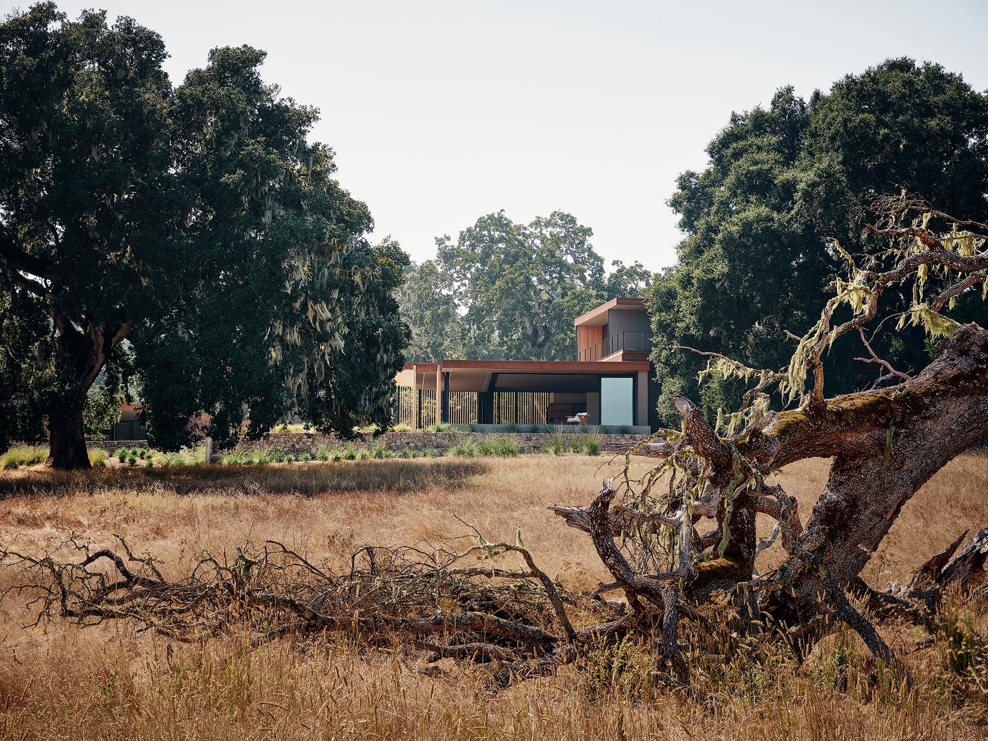 Rumsen Trace - image 4