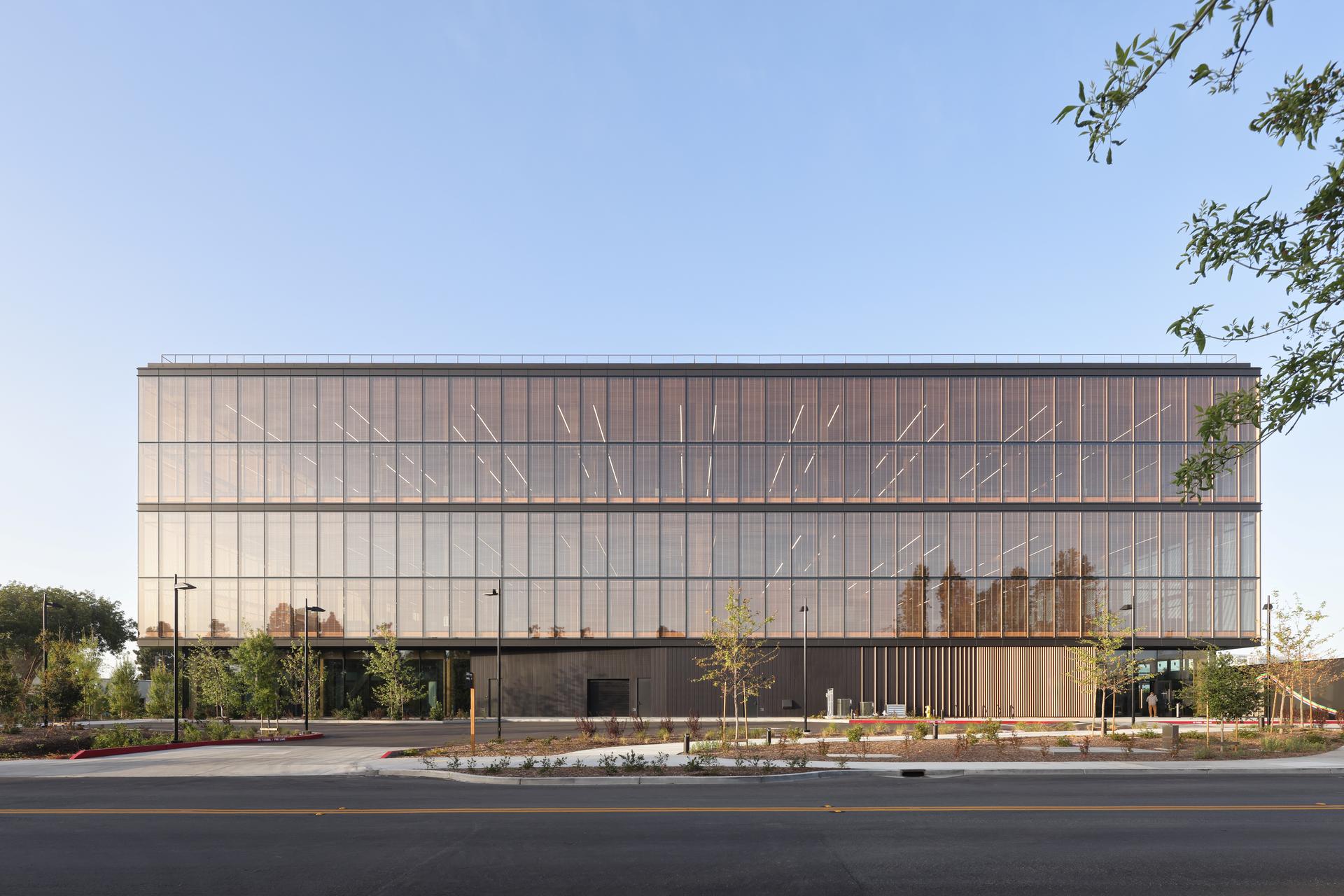 Google Borregas - image 3