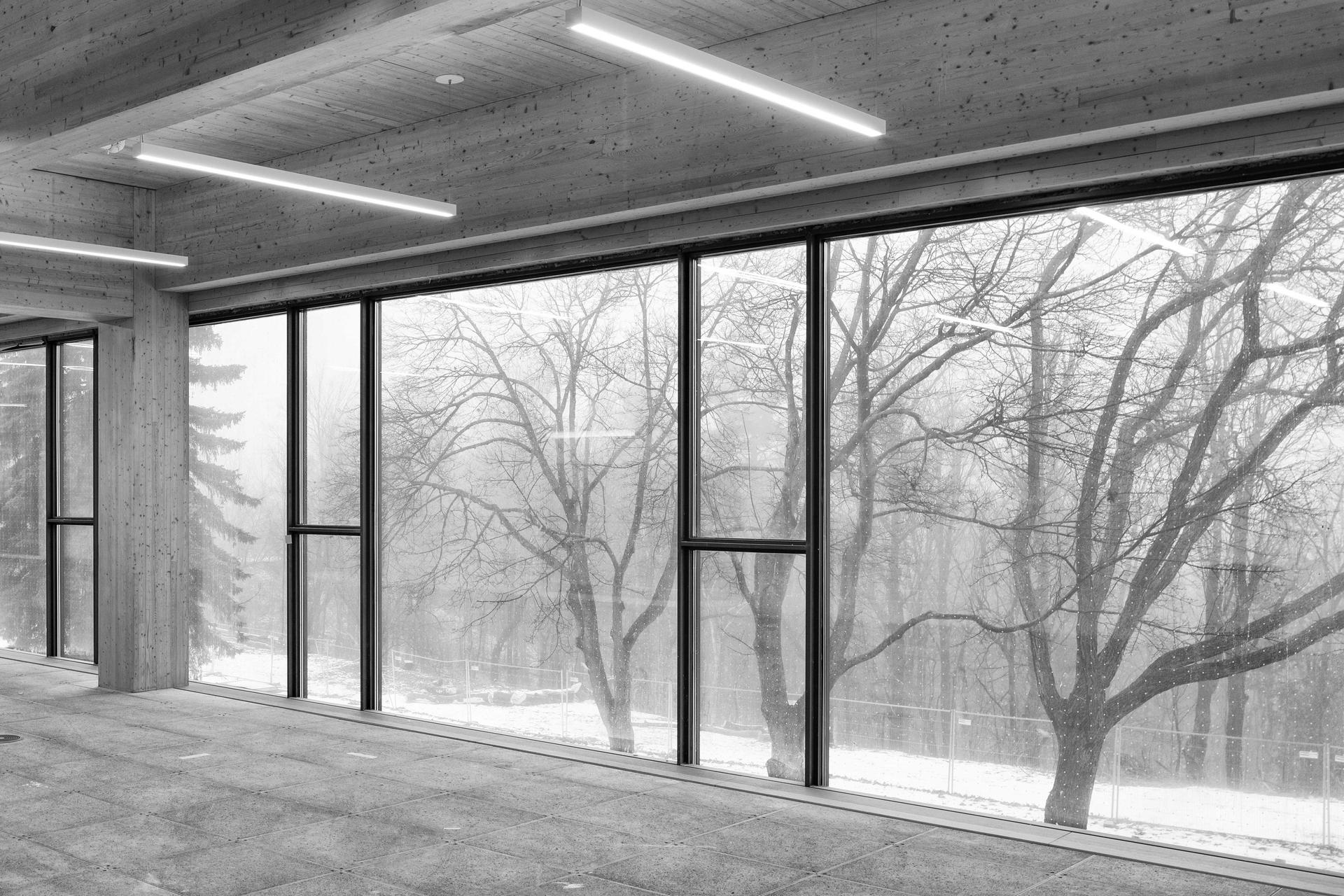 CREATING THE OSSTF WITH MASS TIMBER - image 8
