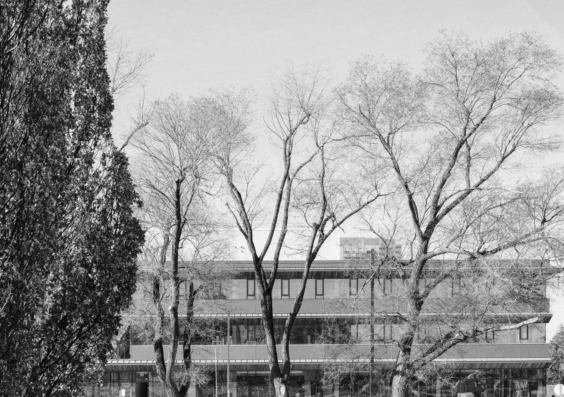 CREATING THE OSSTF WITH MASS TIMBER - image 9