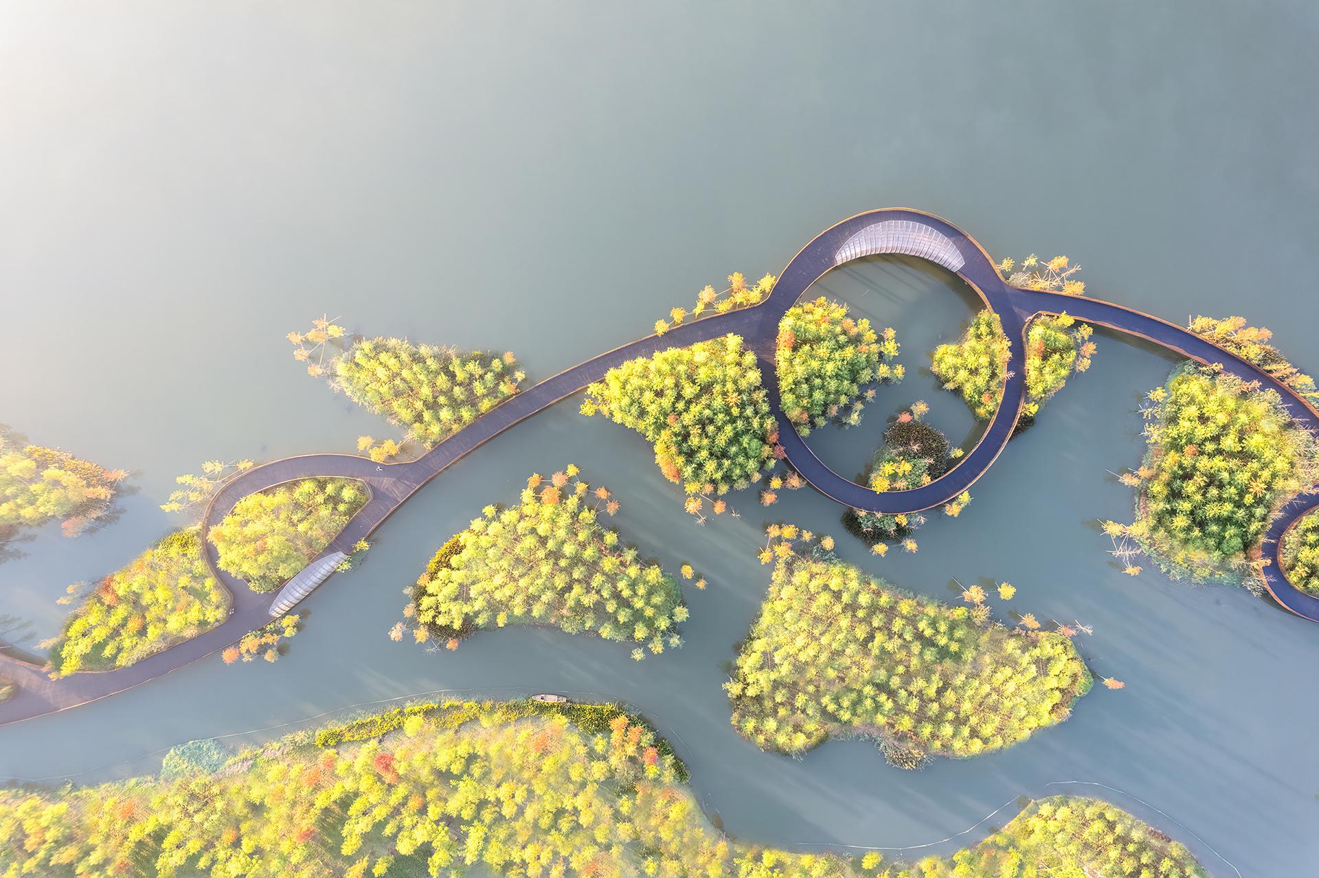 Ecological Restoration of Tongjian Lake Park - image 6