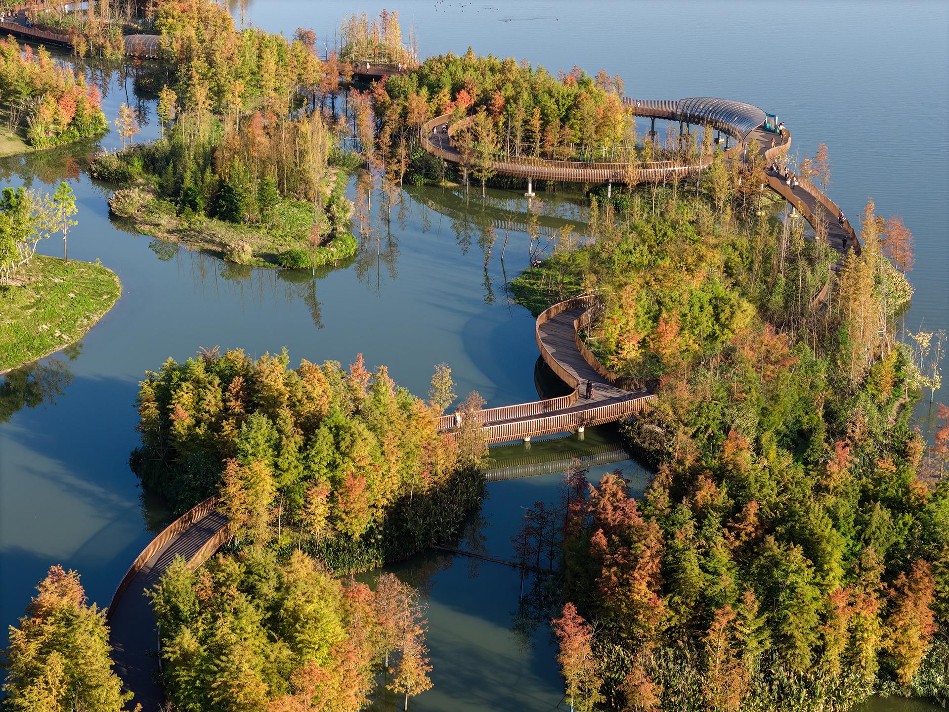 Ecological Restoration of Tongjian Lake Park - image 2