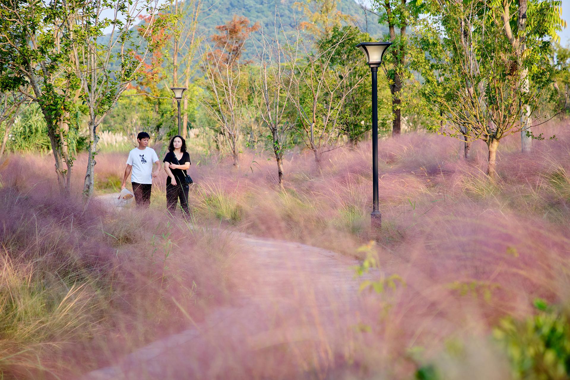 Ecological Restoration of Tongjian Lake Park - image 11