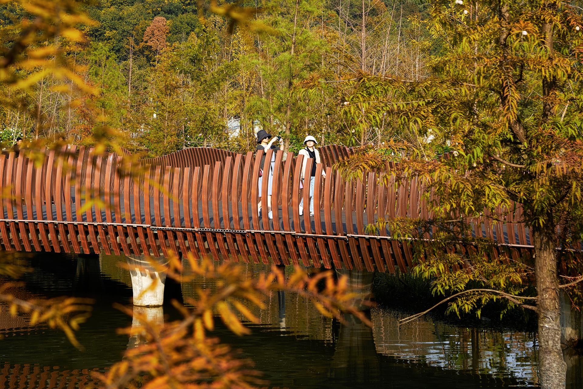 Ecological Restoration of Tongjian Lake Park - image 13