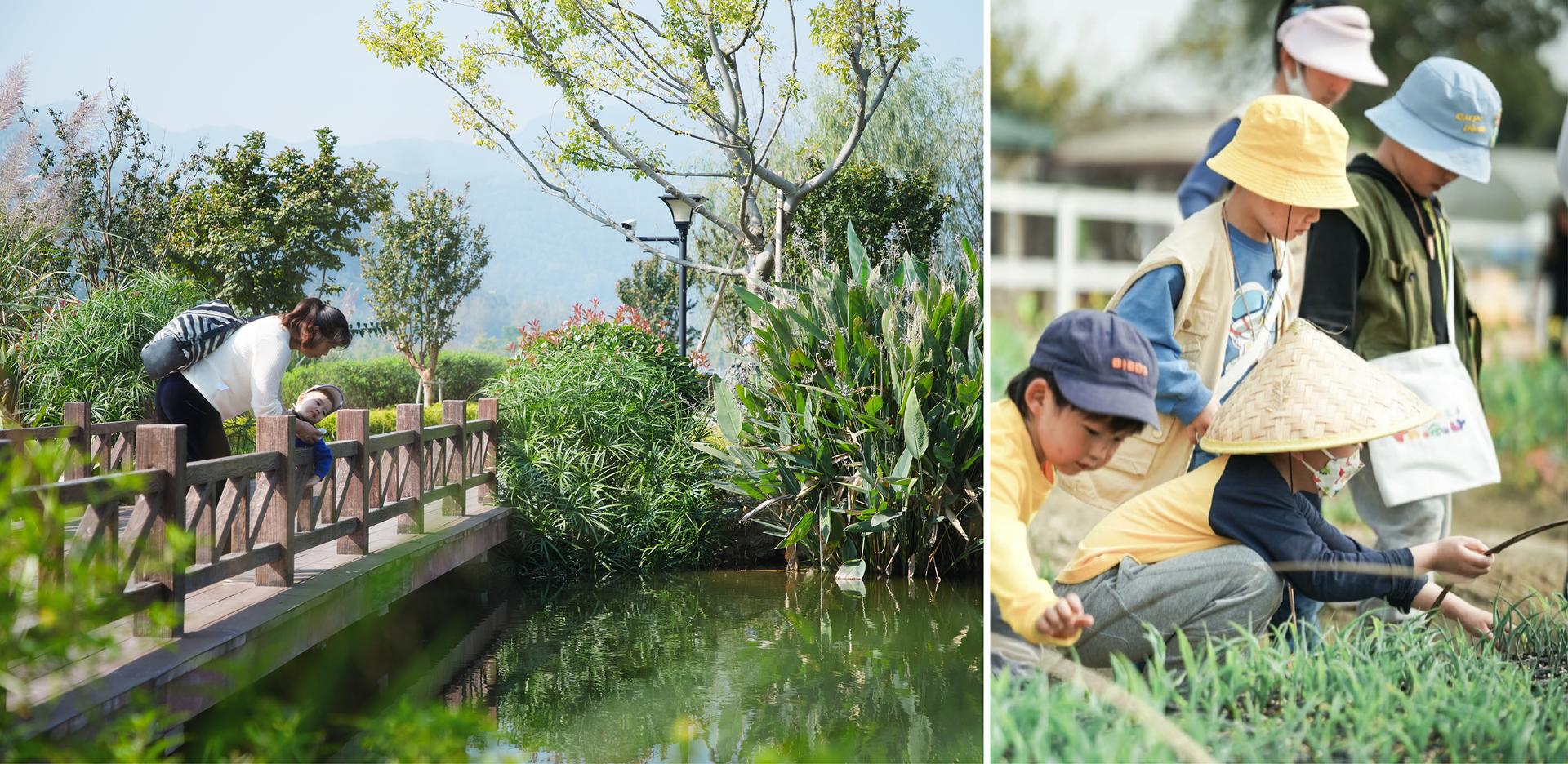 Ecological Restoration of Tongjian Lake Park - image 14