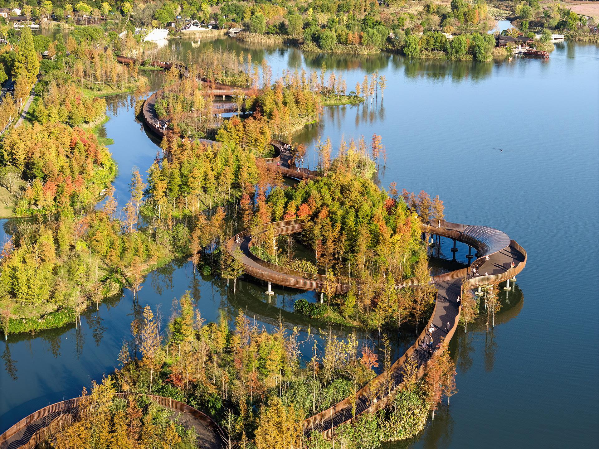 Ecological Restoration of Tongjian Lake Park - image 17