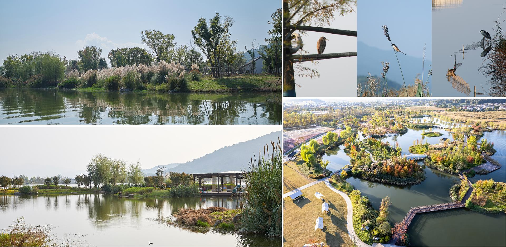 Ecological Restoration of Tongjian Lake Park - image 18