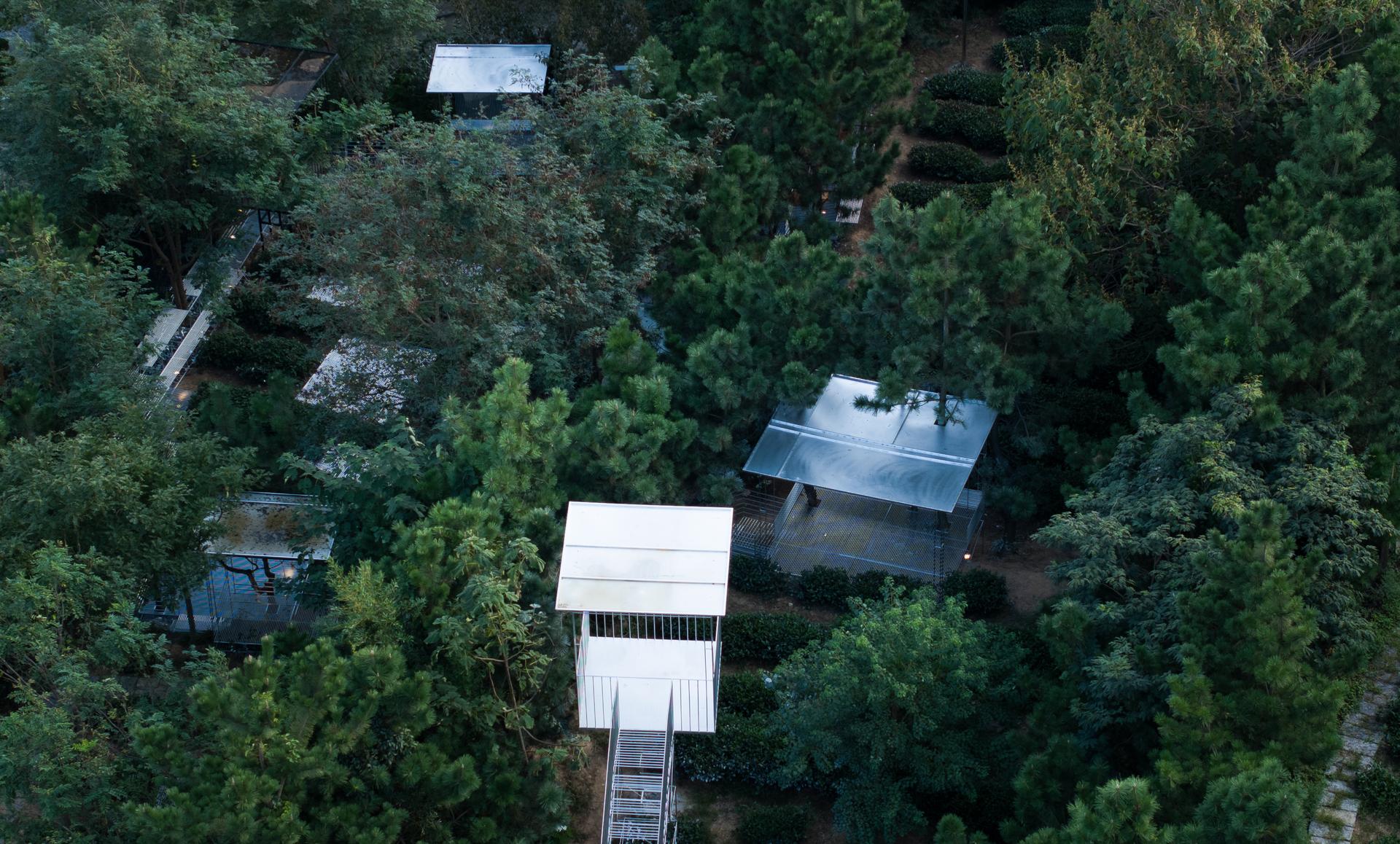 Meditation garden - image 2