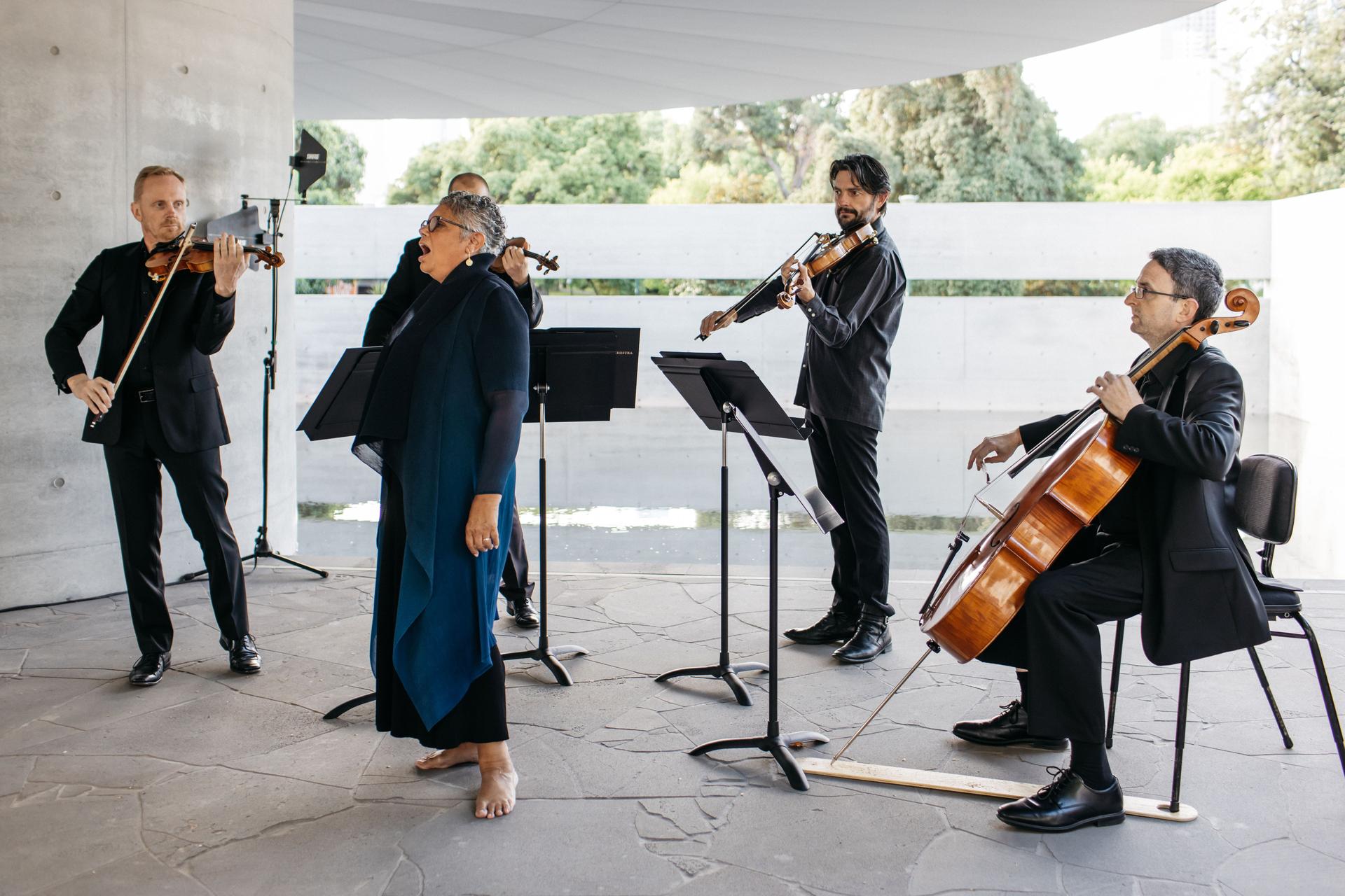 MPavilion 10 - image 15