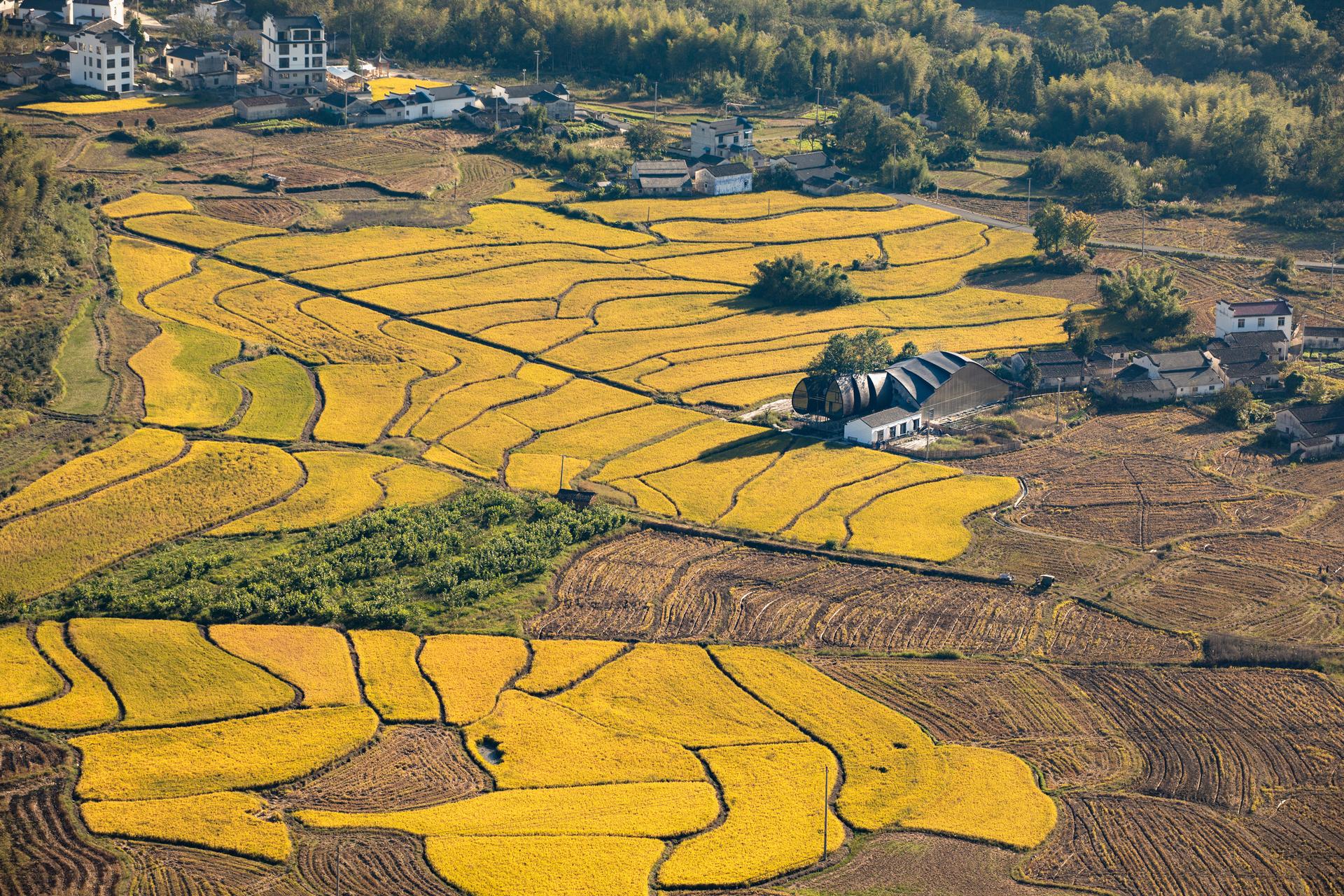 Jiulongfeng Children Learning Center for Conservation - image 6
