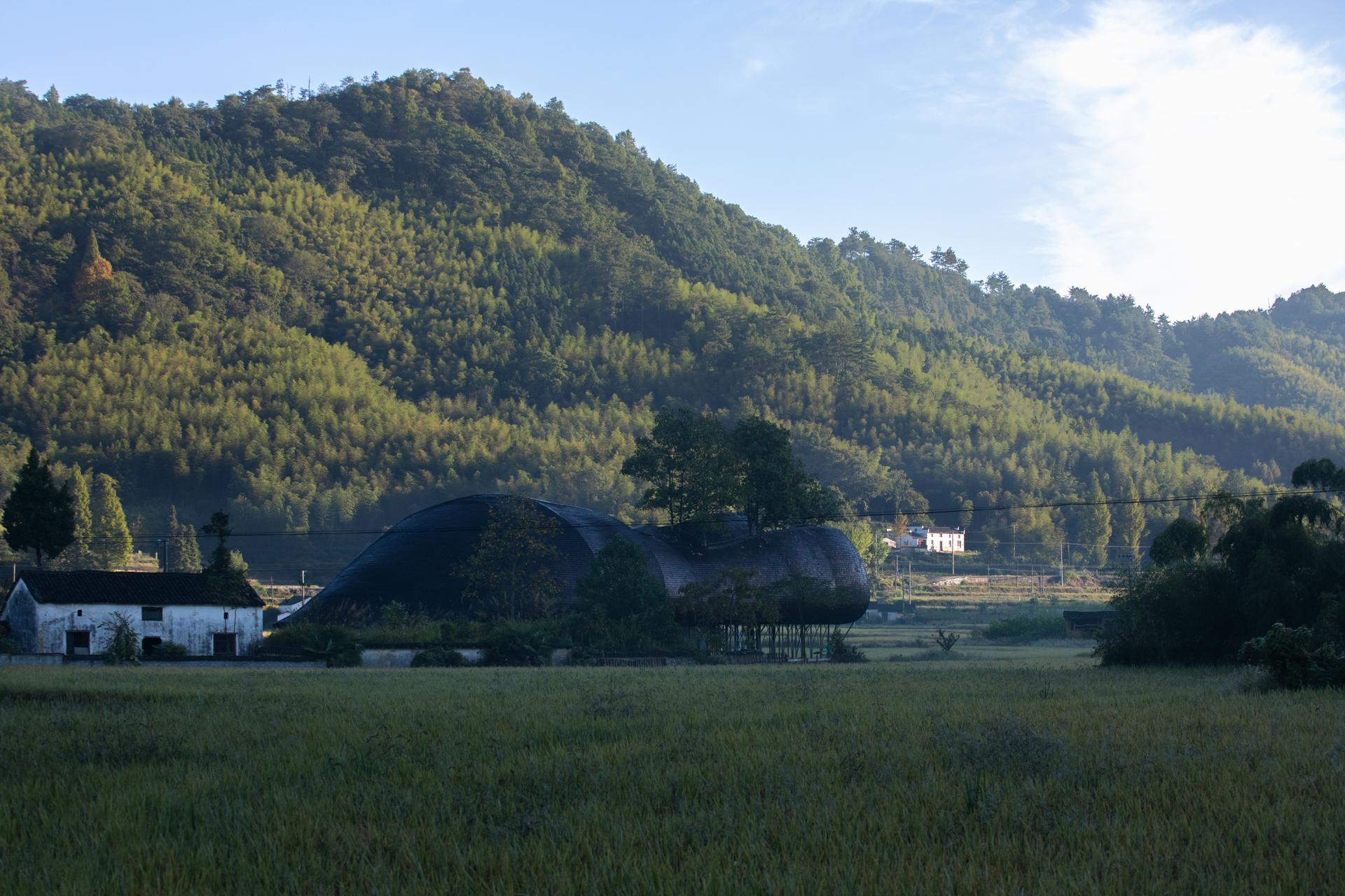 Jiulongfeng Children Learning Center for Conservation - image 9