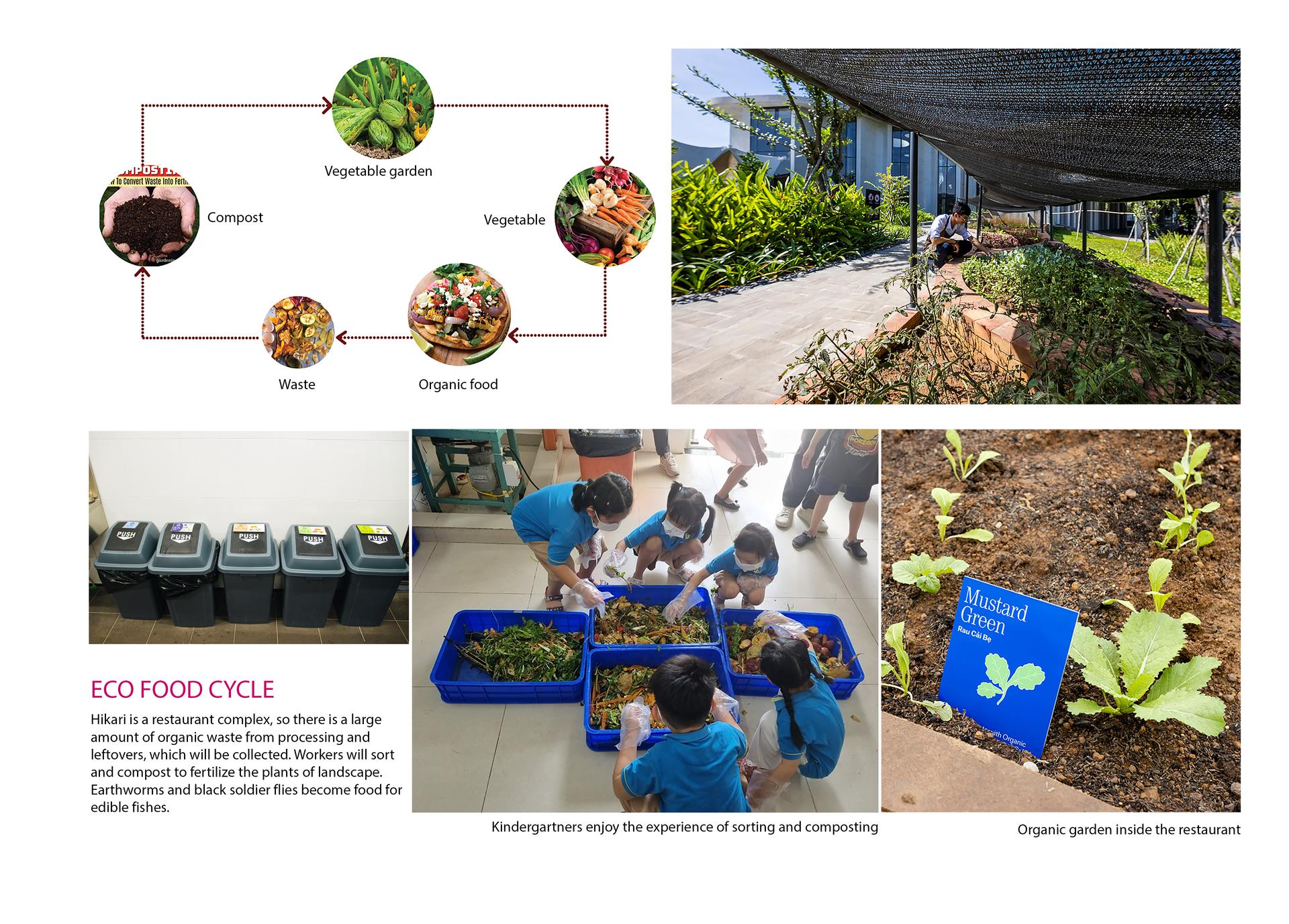 Hikari-4Ps Edutainment Hub - image 12