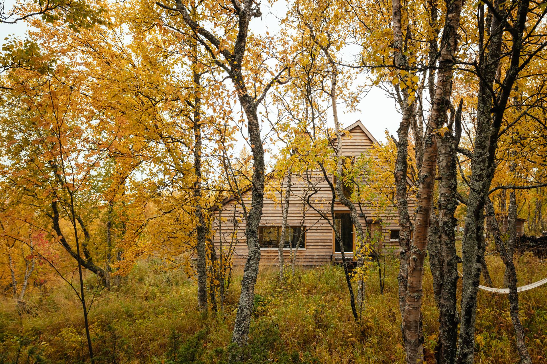 The Hat House Photos and Film - image 3