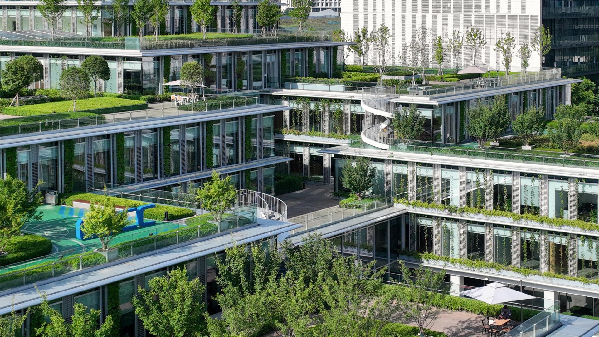 Green Module: Lakeside Headquarters - image 7