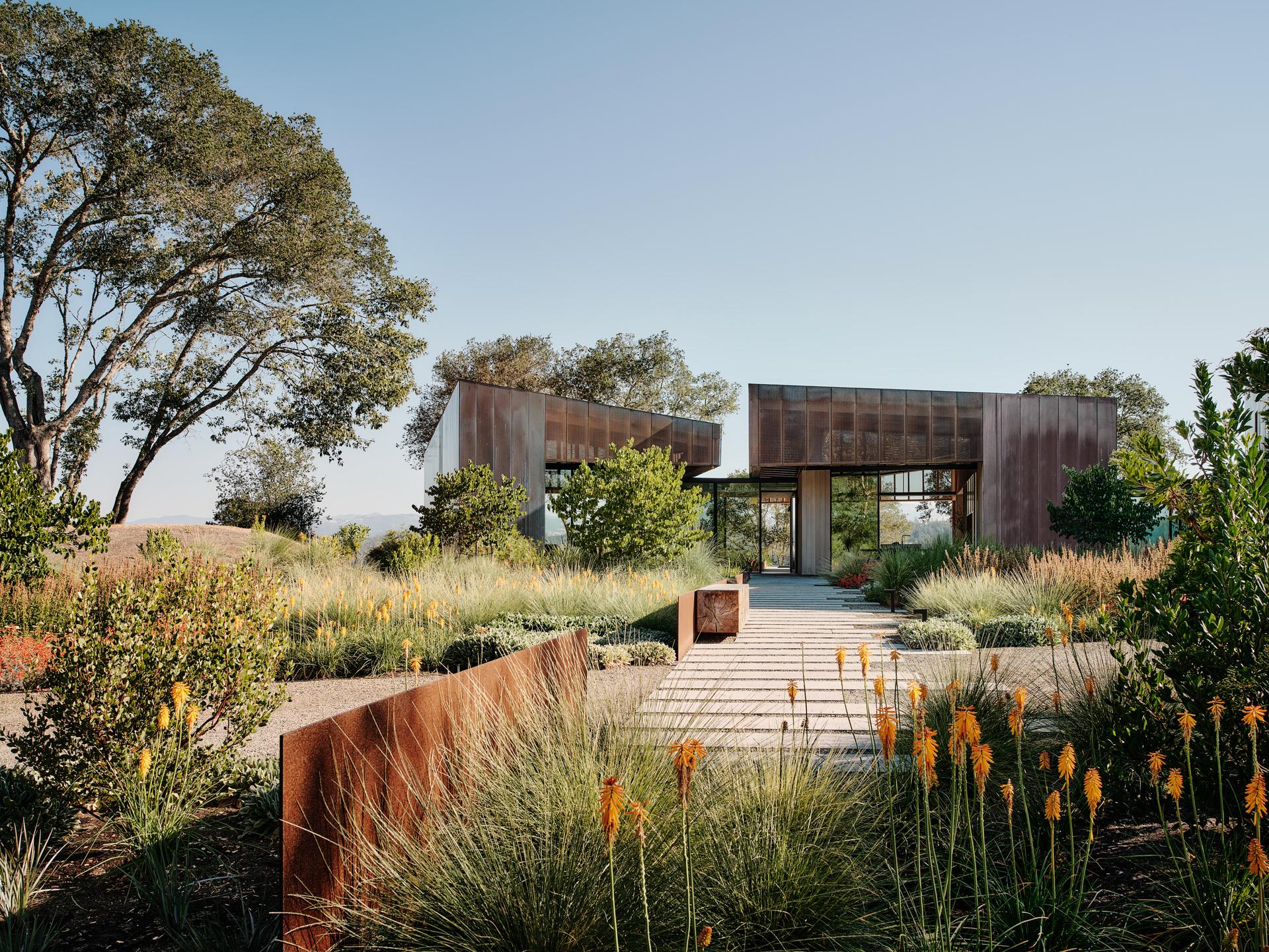 Madrone Ridge