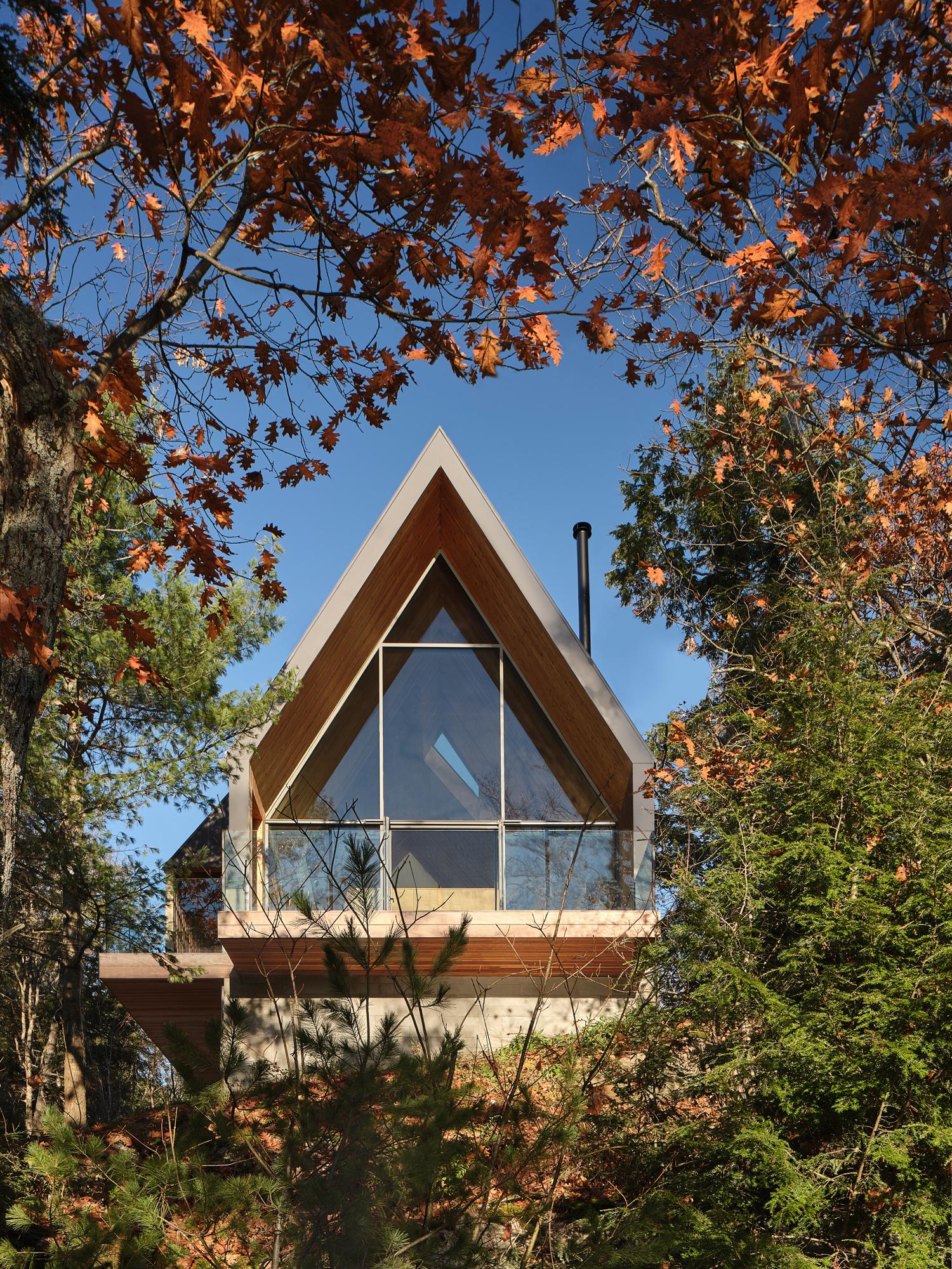 Bunkie on the Hill - image 19