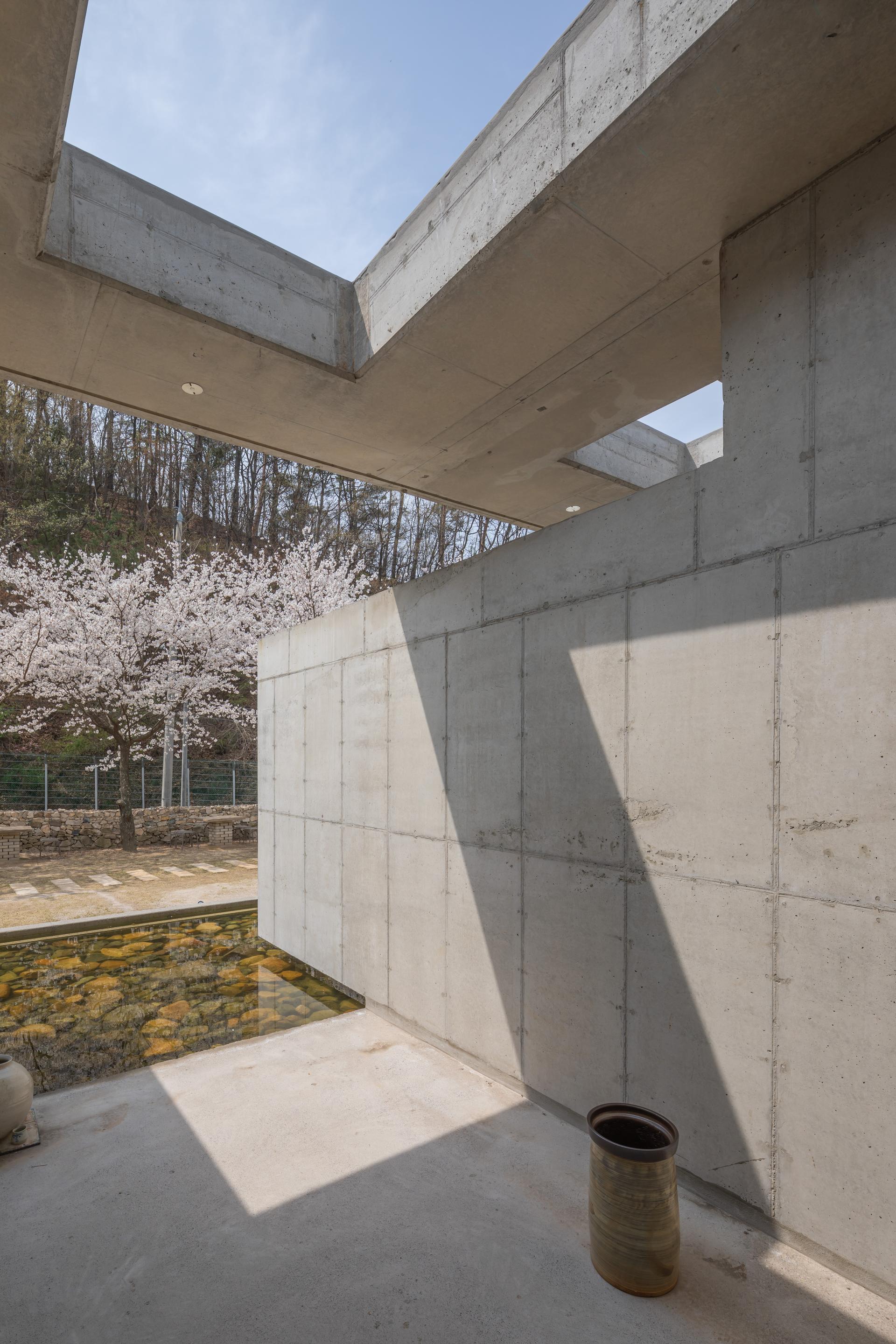 Wangbangyo - image 8