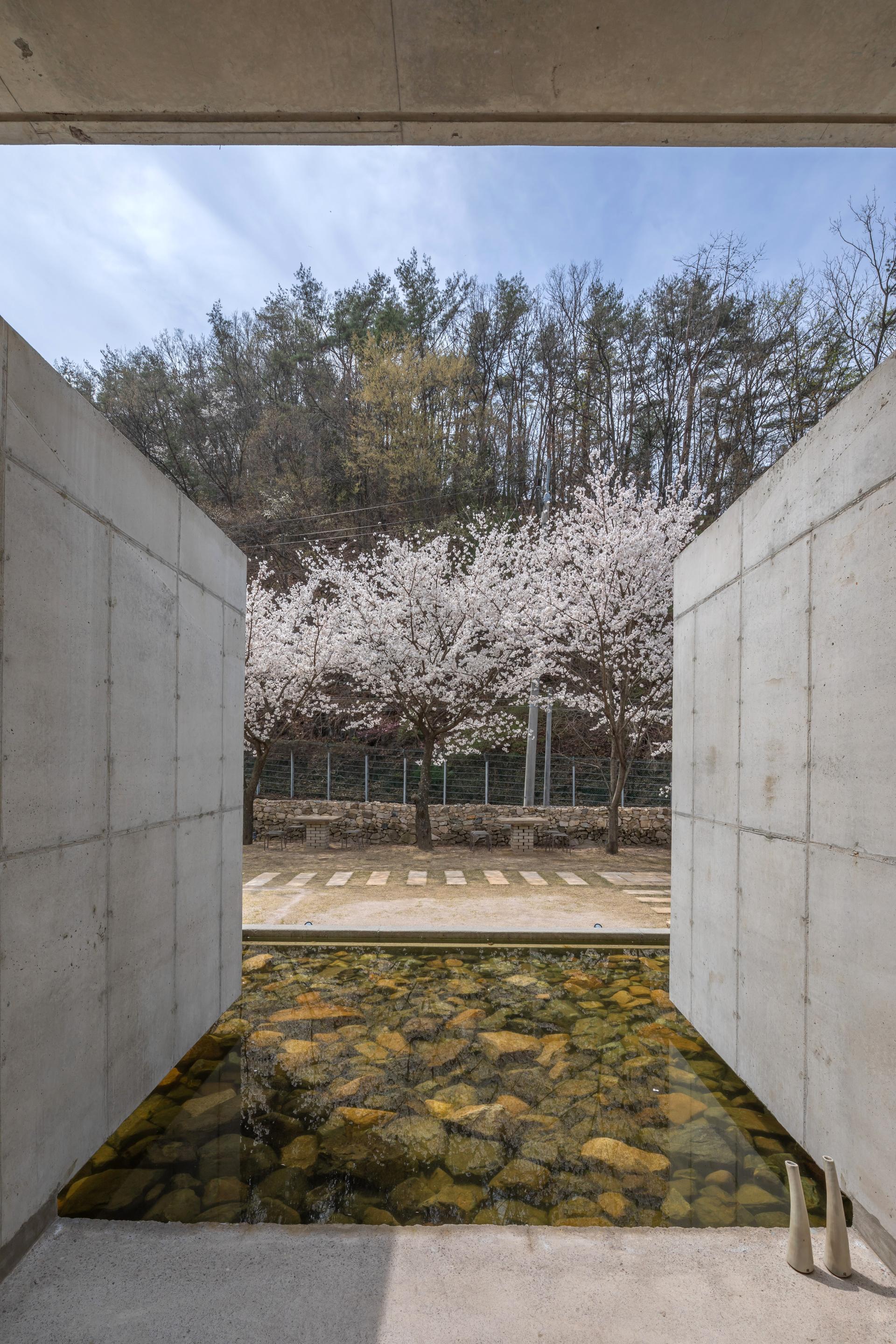 Wangbangyo - image 9