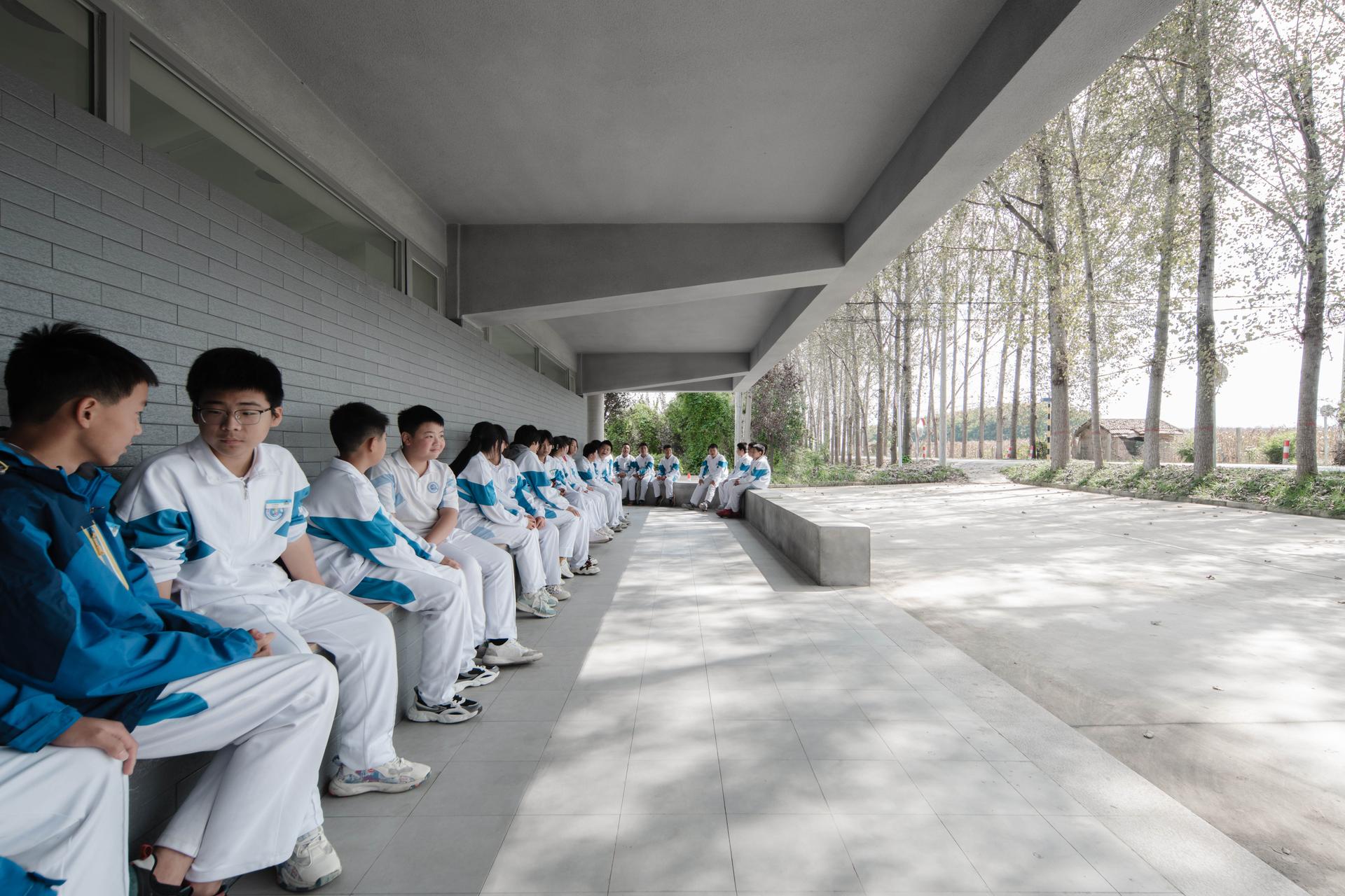 Qinfeng Library - image 7