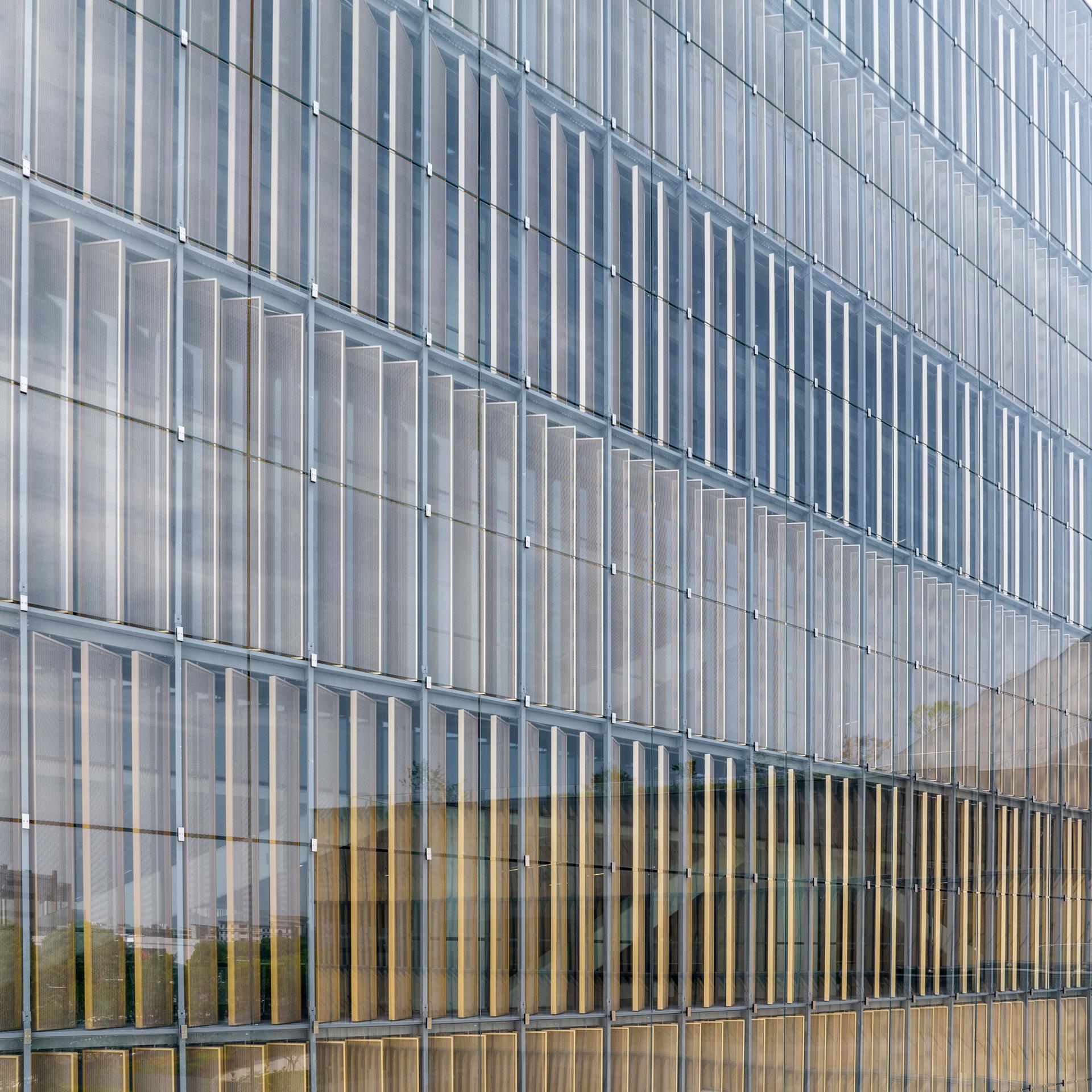 YOFC Headquarters - image 16