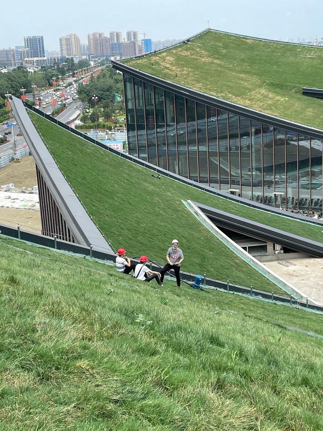 Chengdu Museum of Contemporary Art, Tianfu Library of Humanity and Art - image 8
