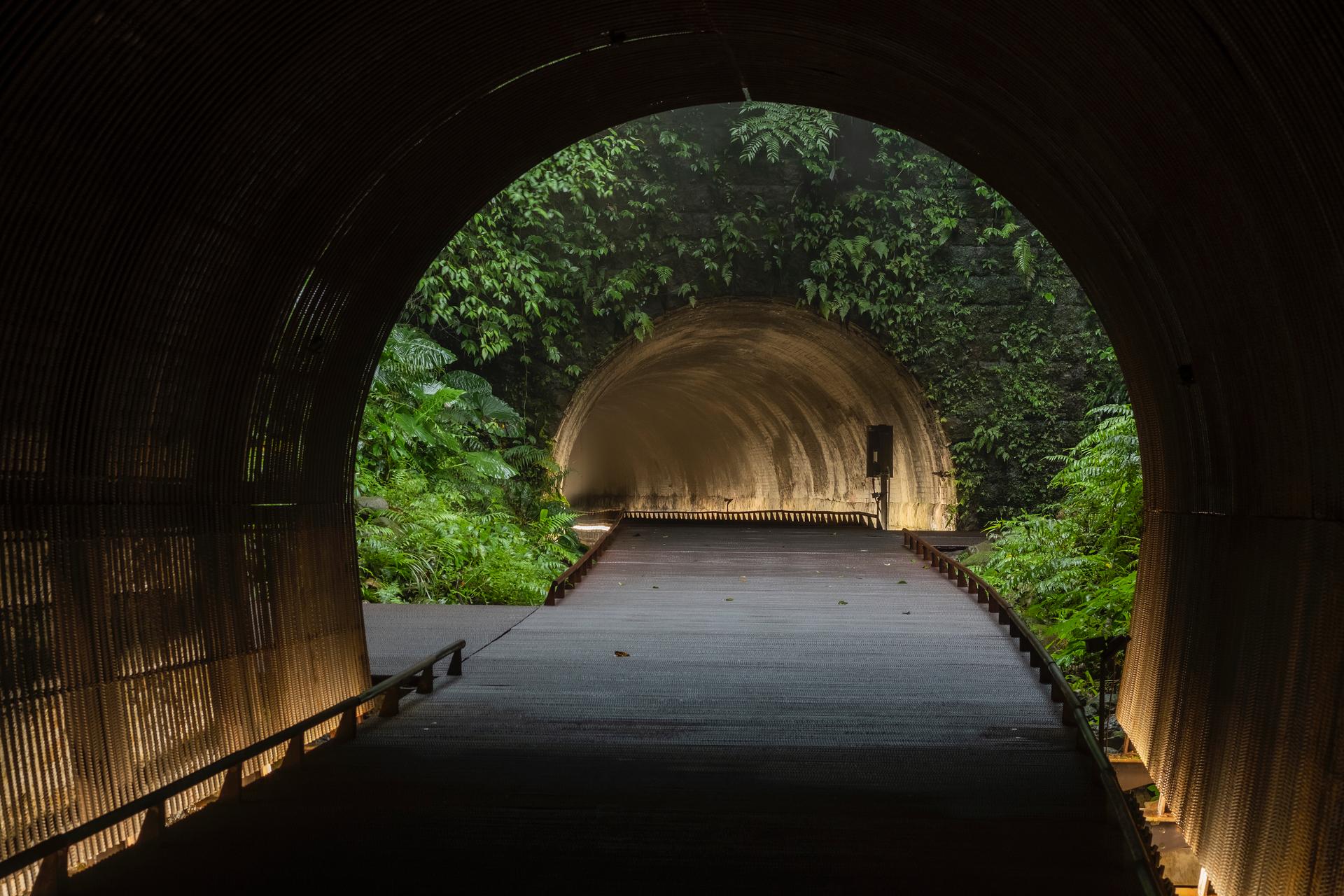 The Dark Line - image 2