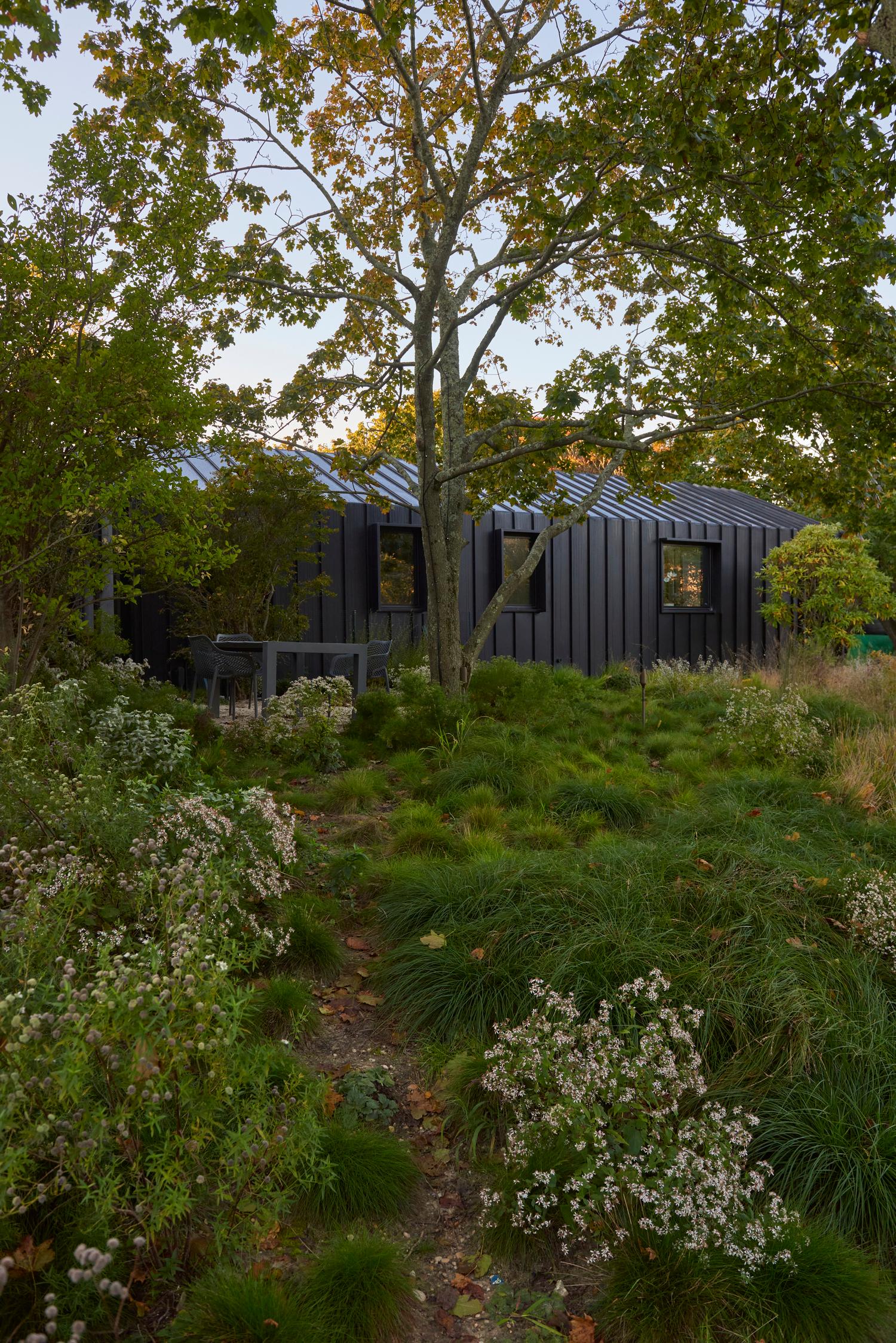Bridgehampton Native - image 4