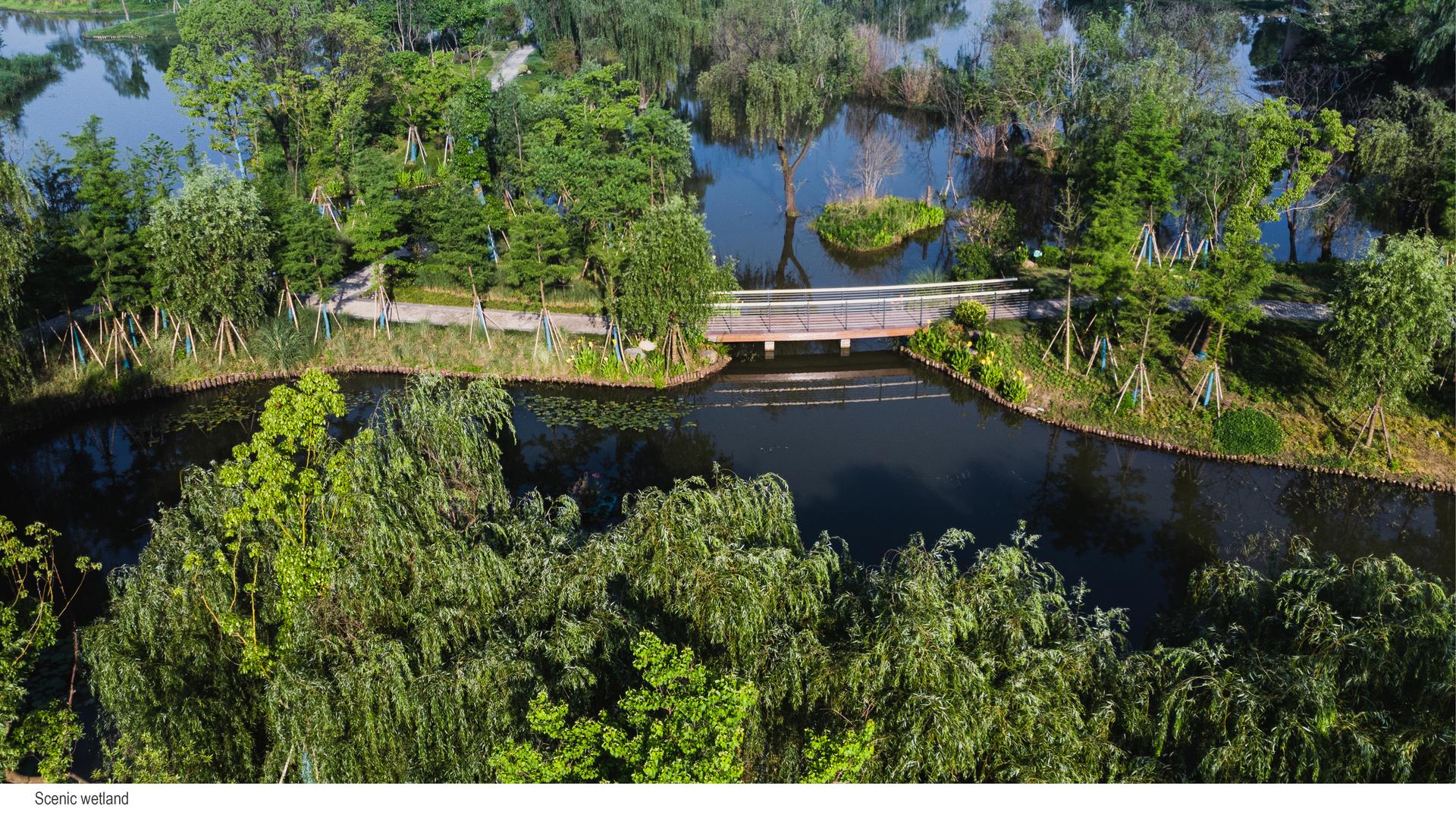 North Office Park of Zhejiang University International Campus in Haining - image 3
