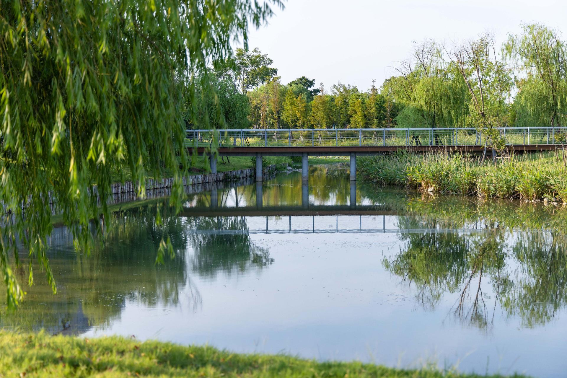 North Office Park of Zhejiang University International Campus in Haining - image 4