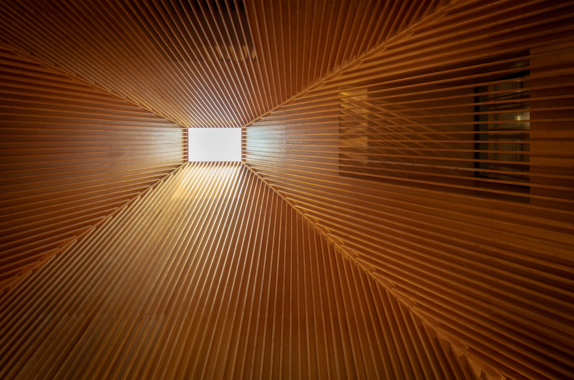 WWF Peter Scott Visitor Centre - image 4