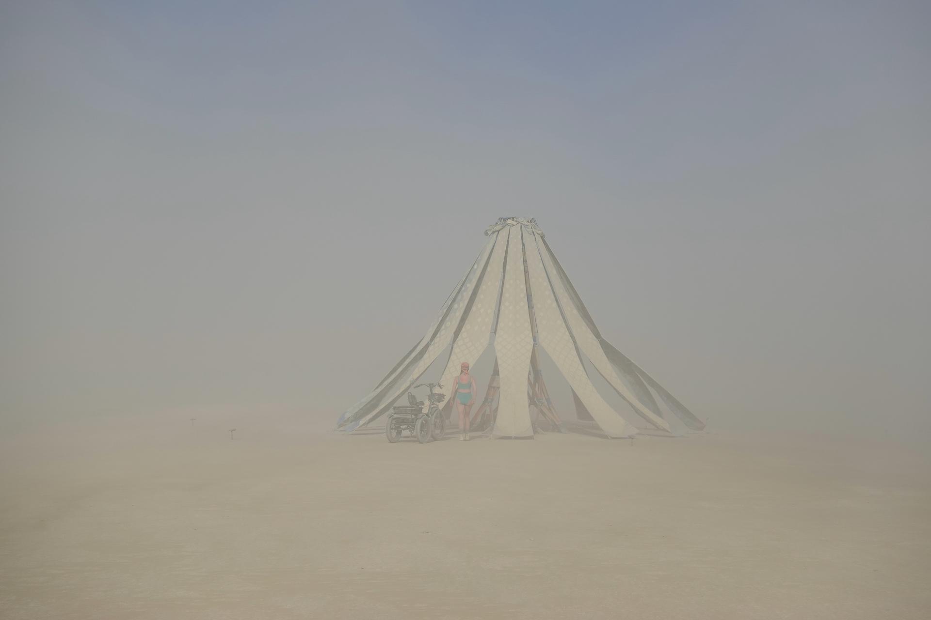 Living Knitwork Pavilion - image 12