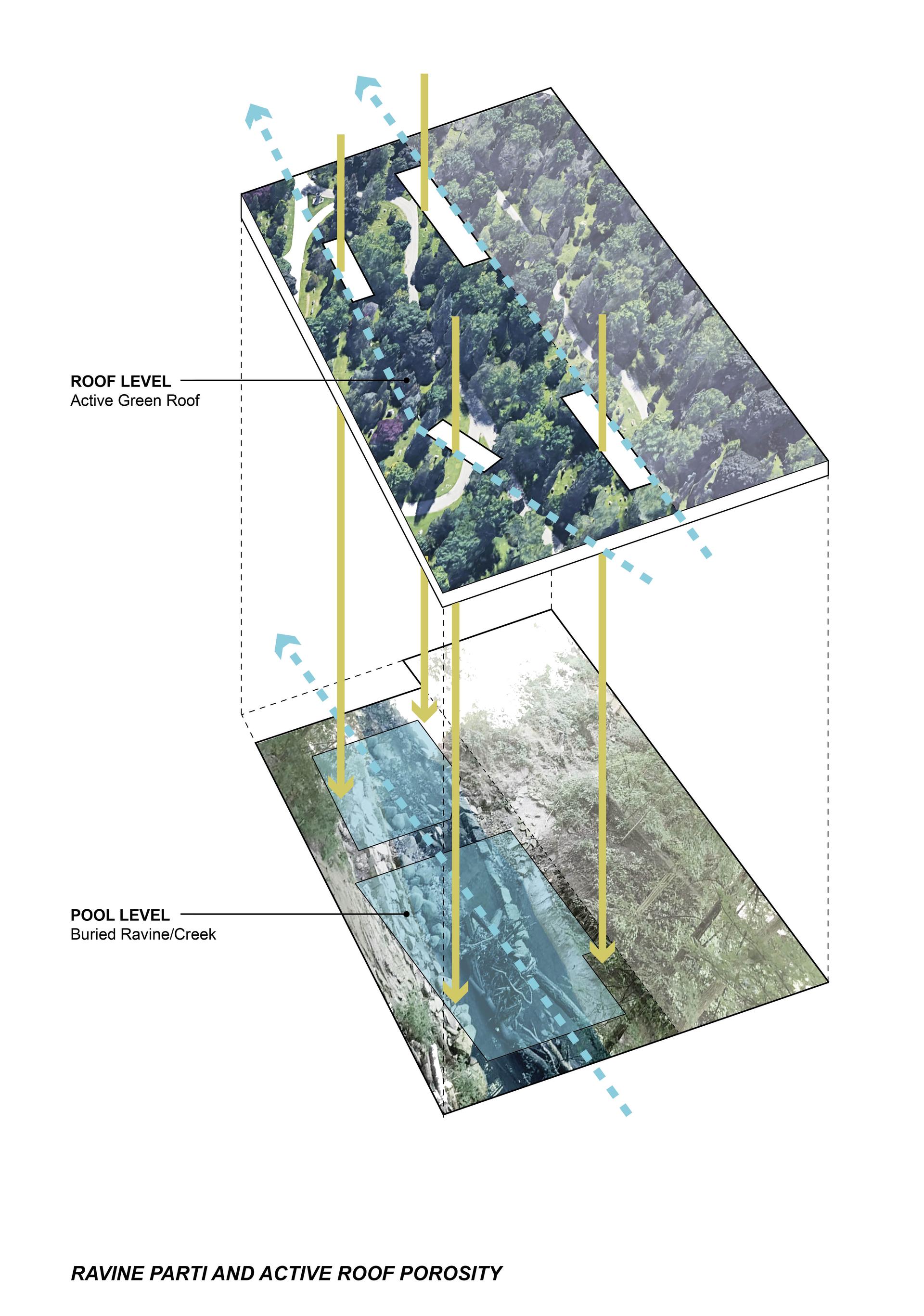 Davisville Community and Aquatic Centre - image 7