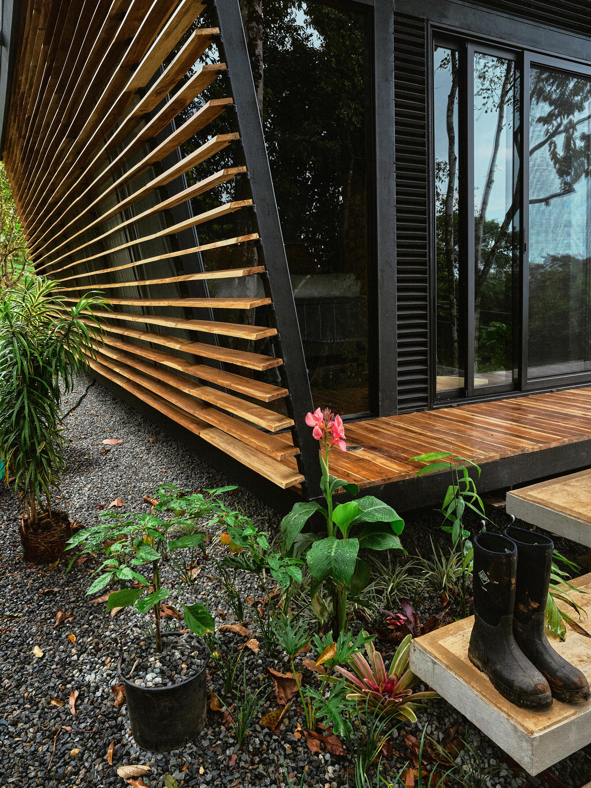 Black House (Casa Negra) - image 10