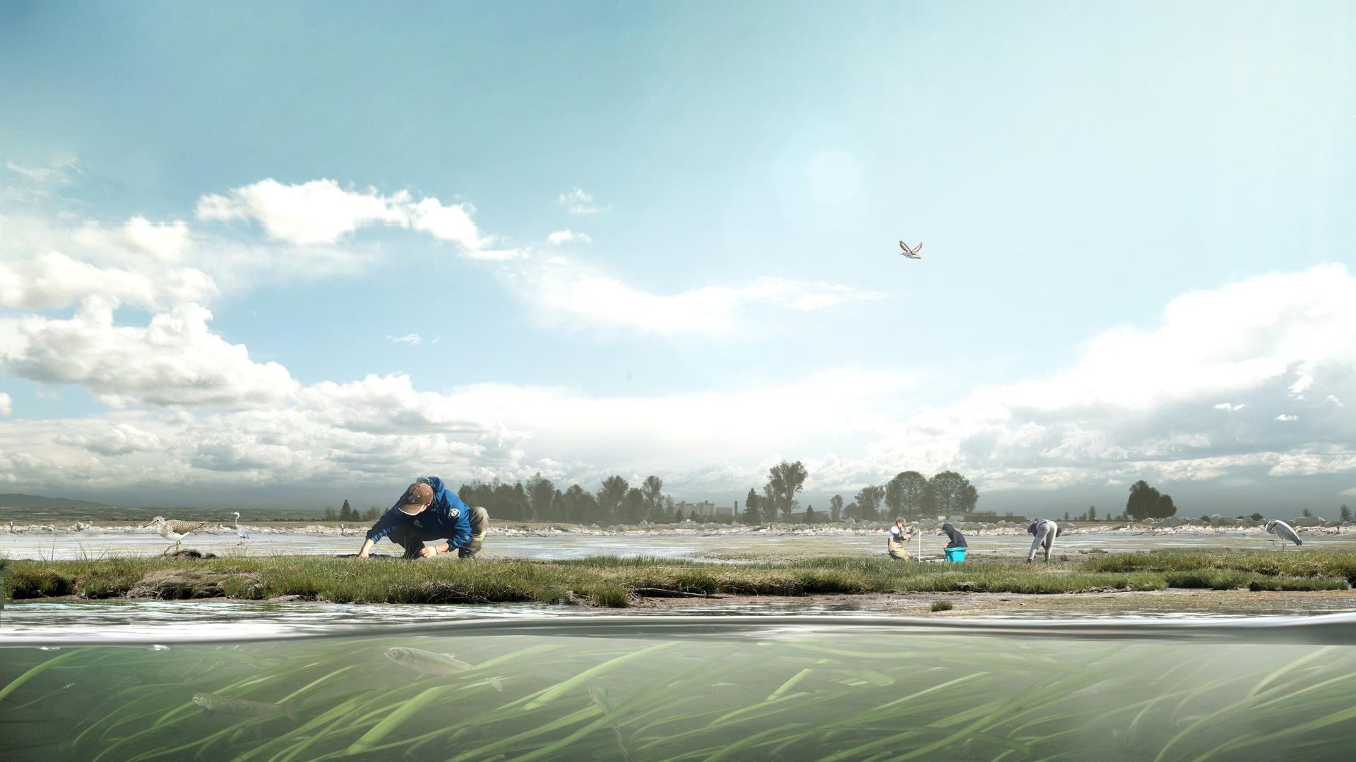 Iona Island Wastewater Treatment Plant - image 9